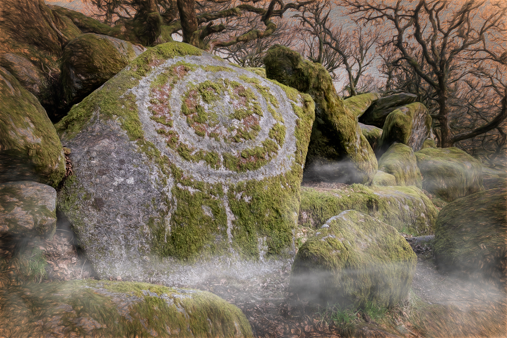 Wistman's Wood