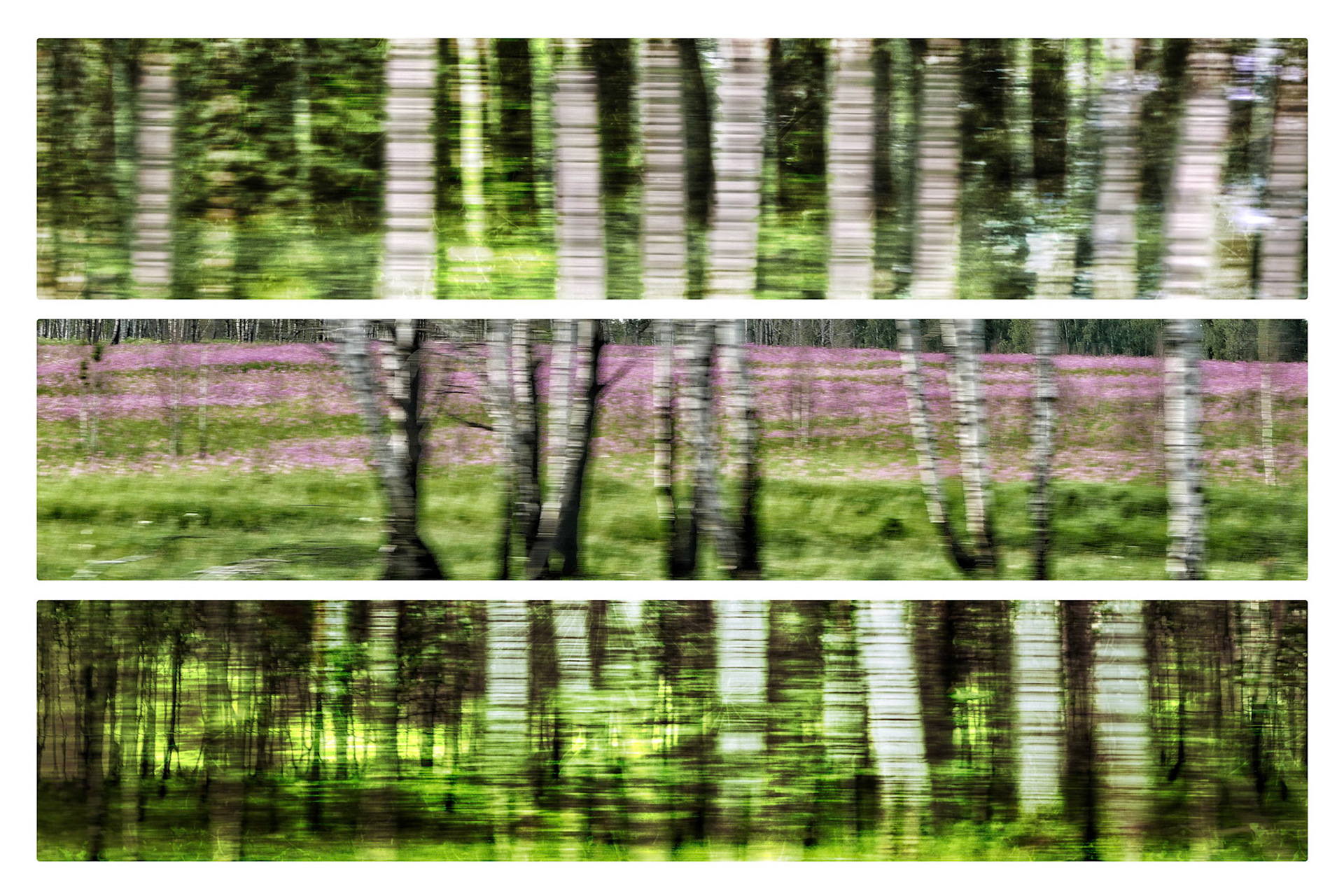 Trans Siberian Express