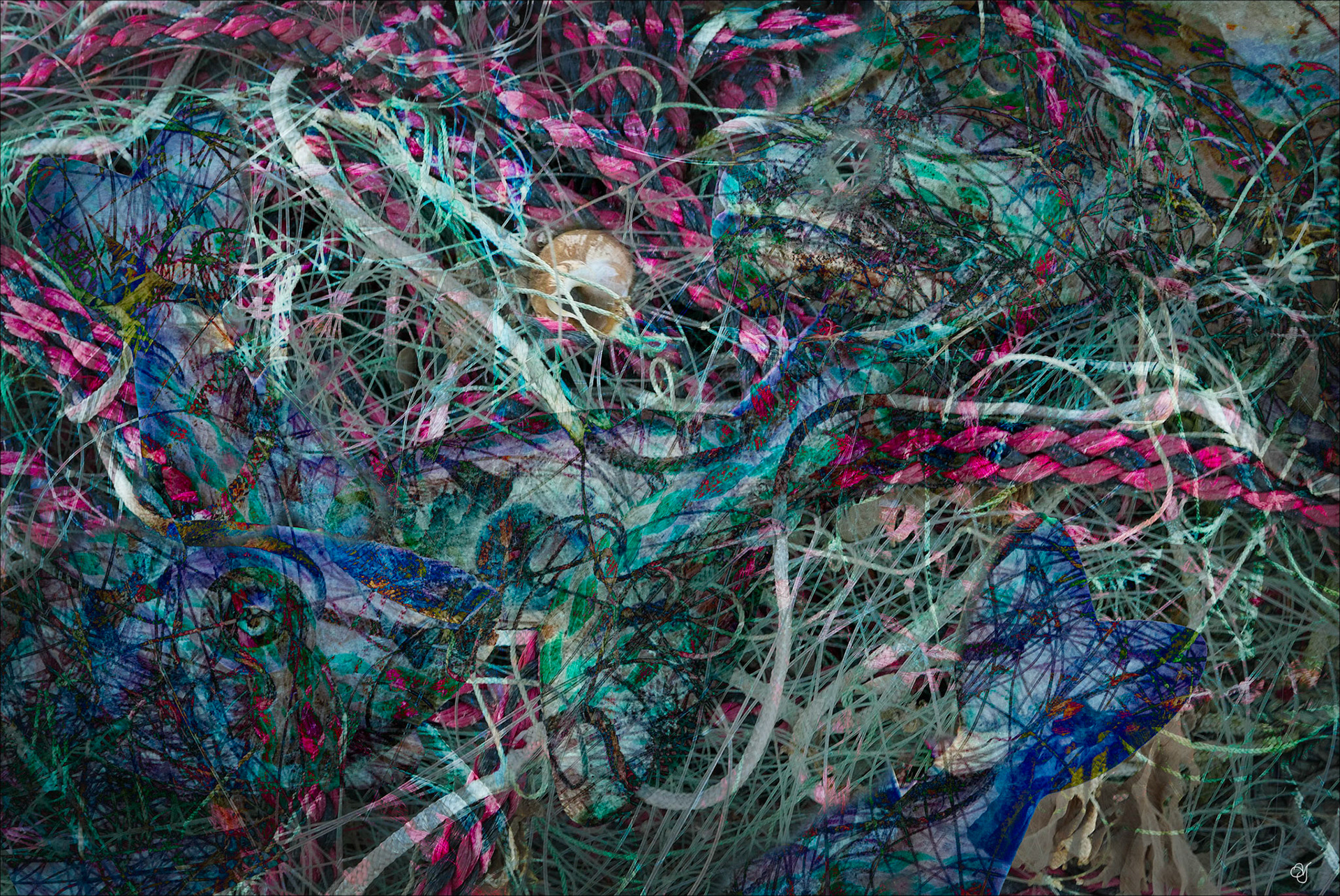 Fishing Nets