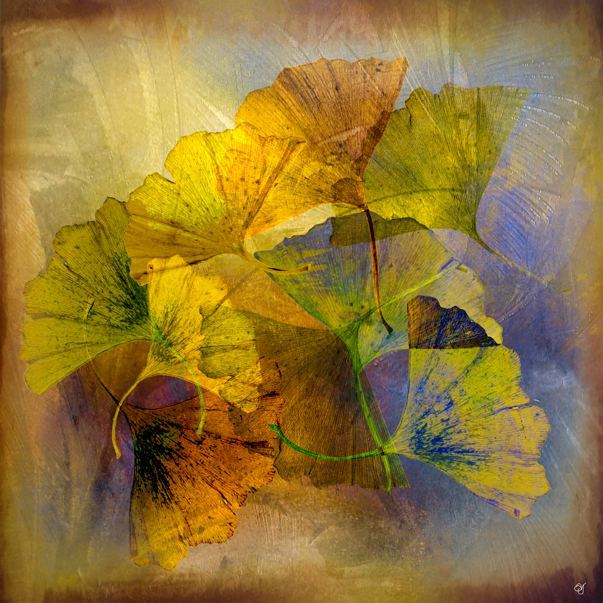 Gingko Bioba