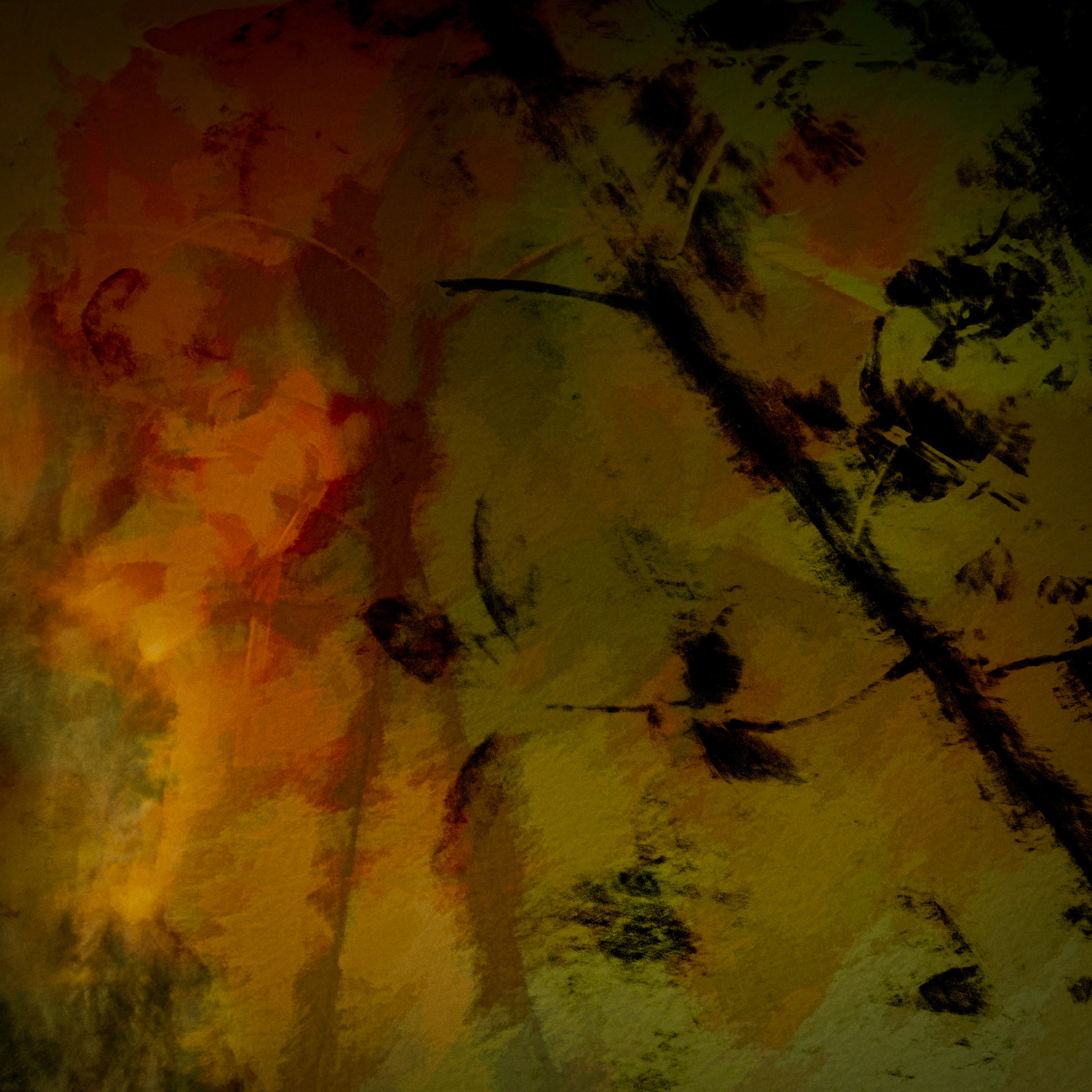 Understorey I