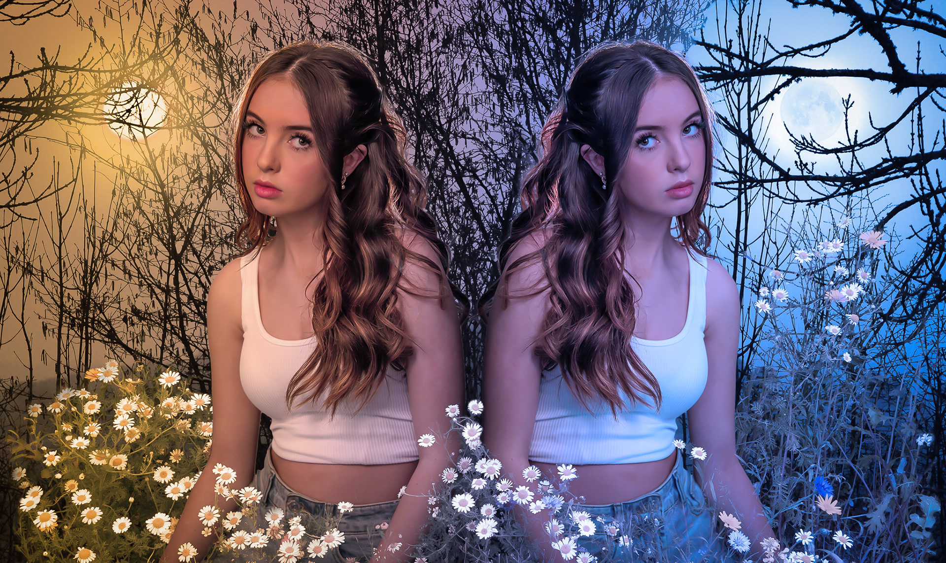 Daisies