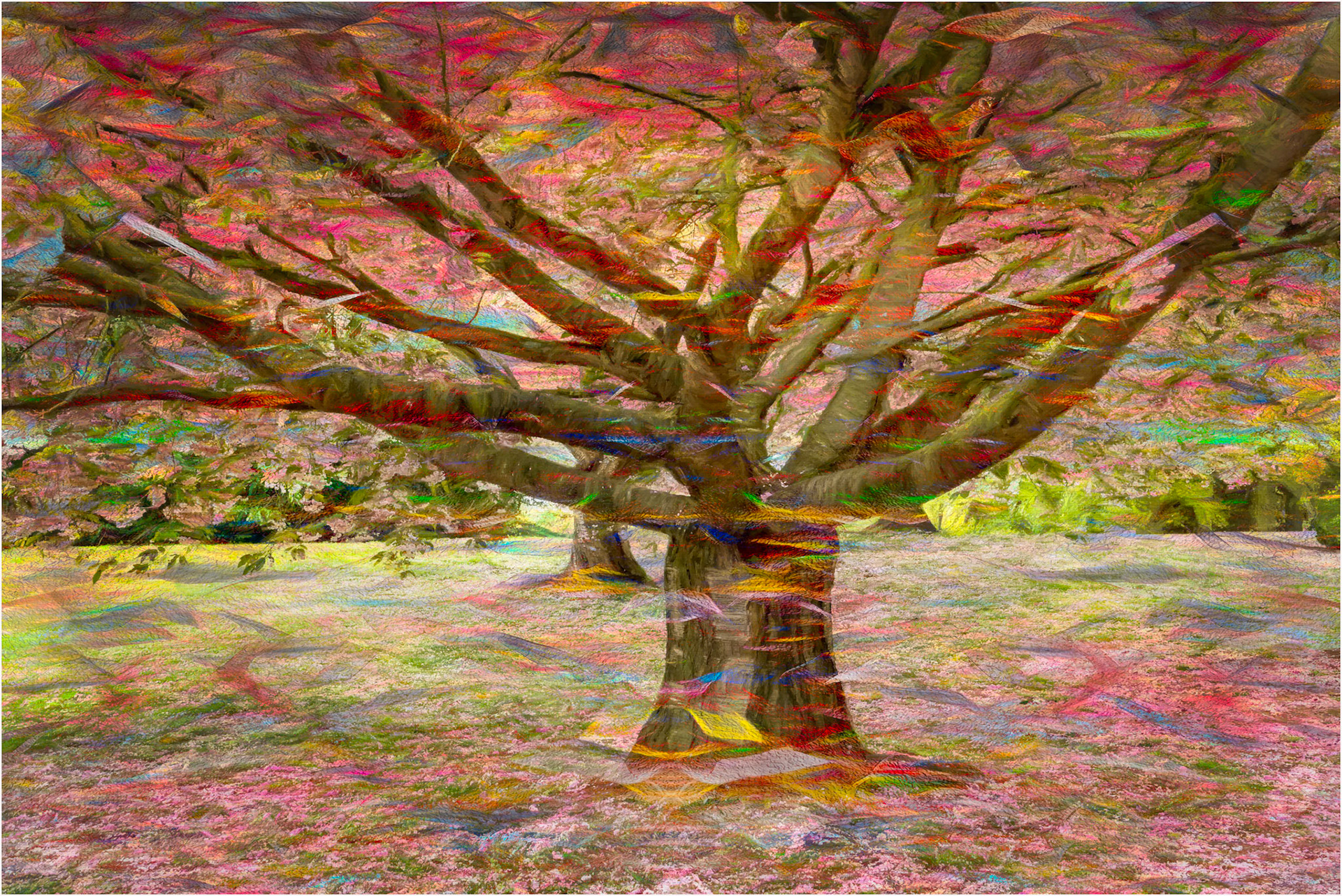 Blossom Time