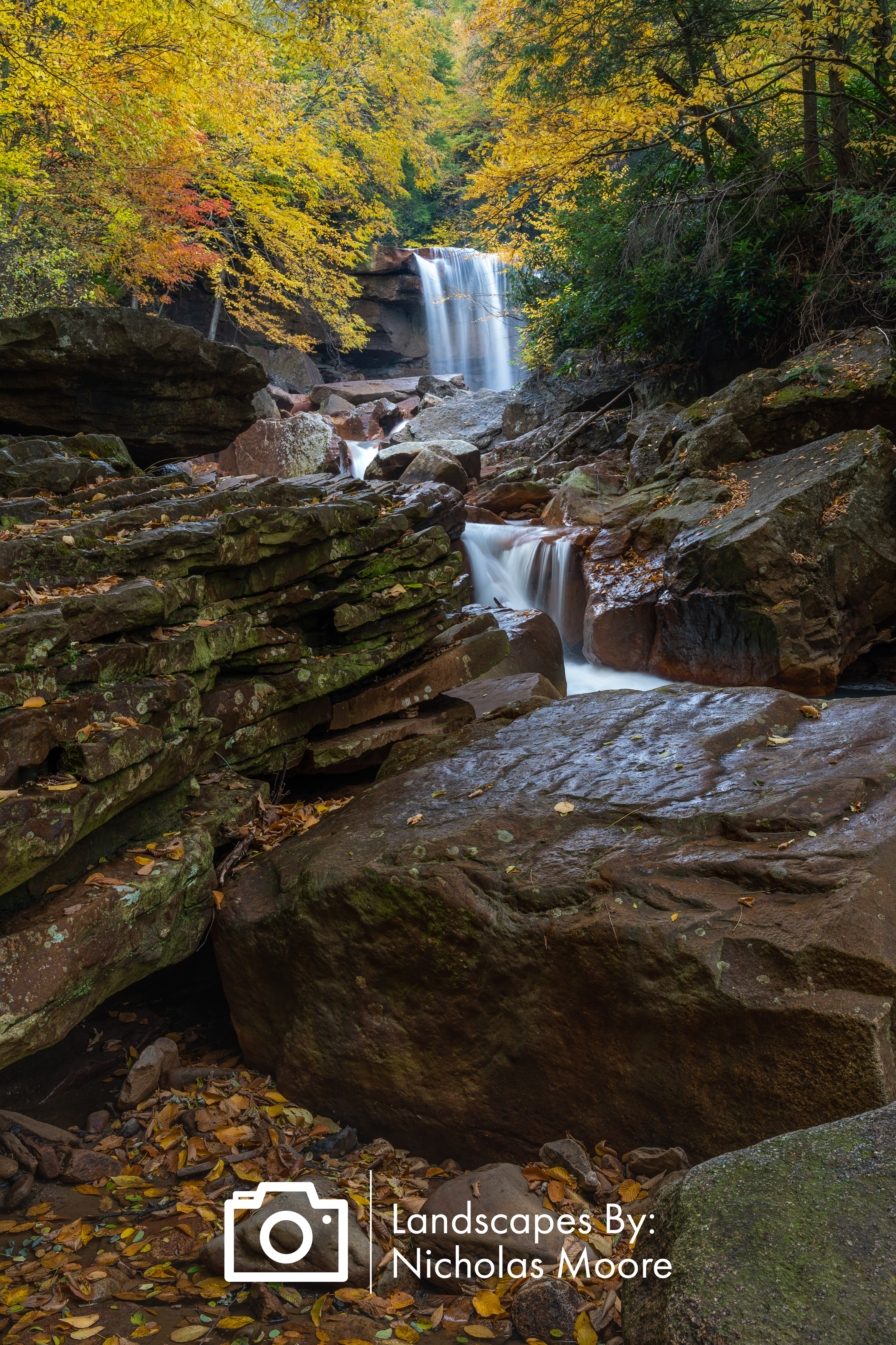 V03001 -WV
