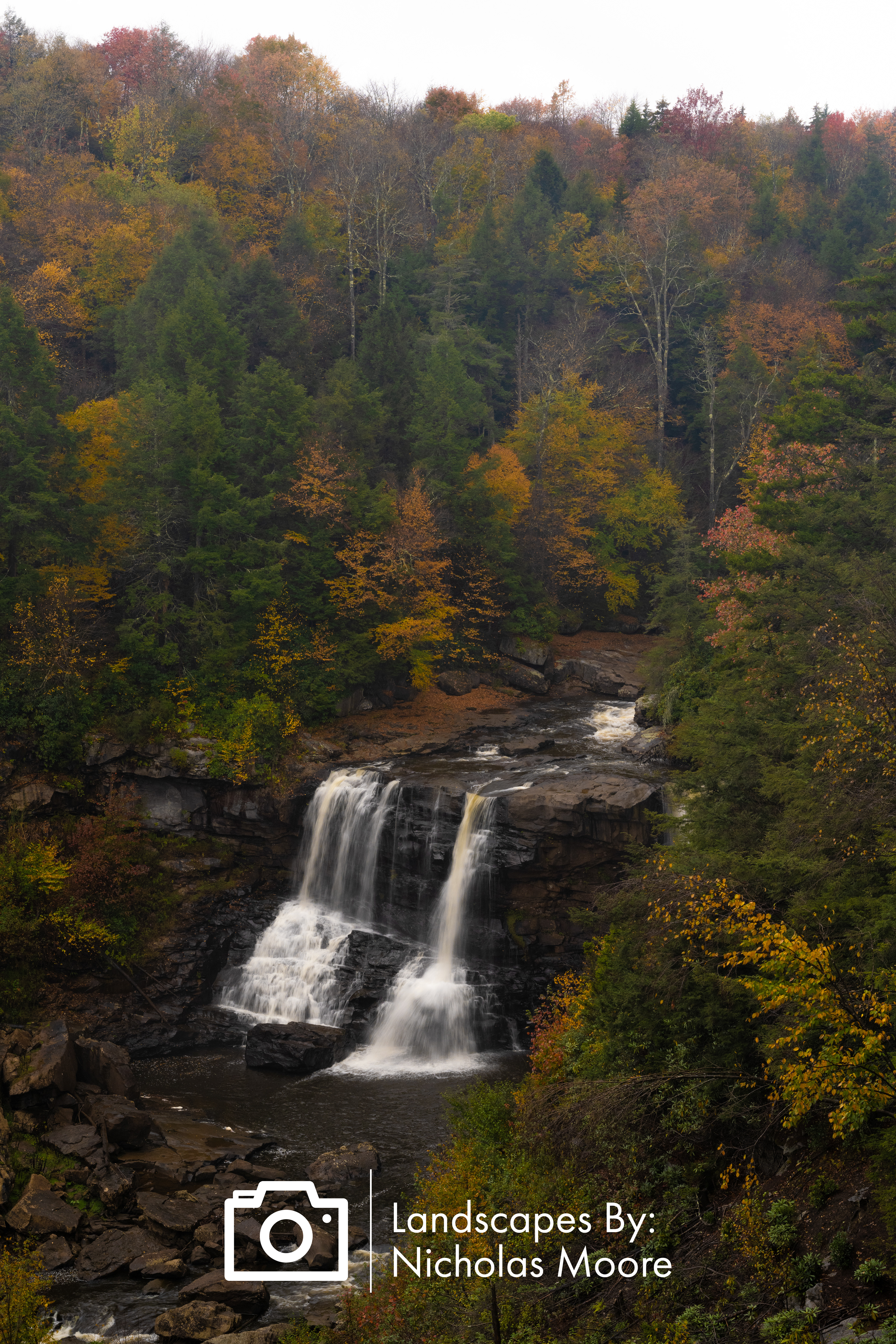 v03169 -WV