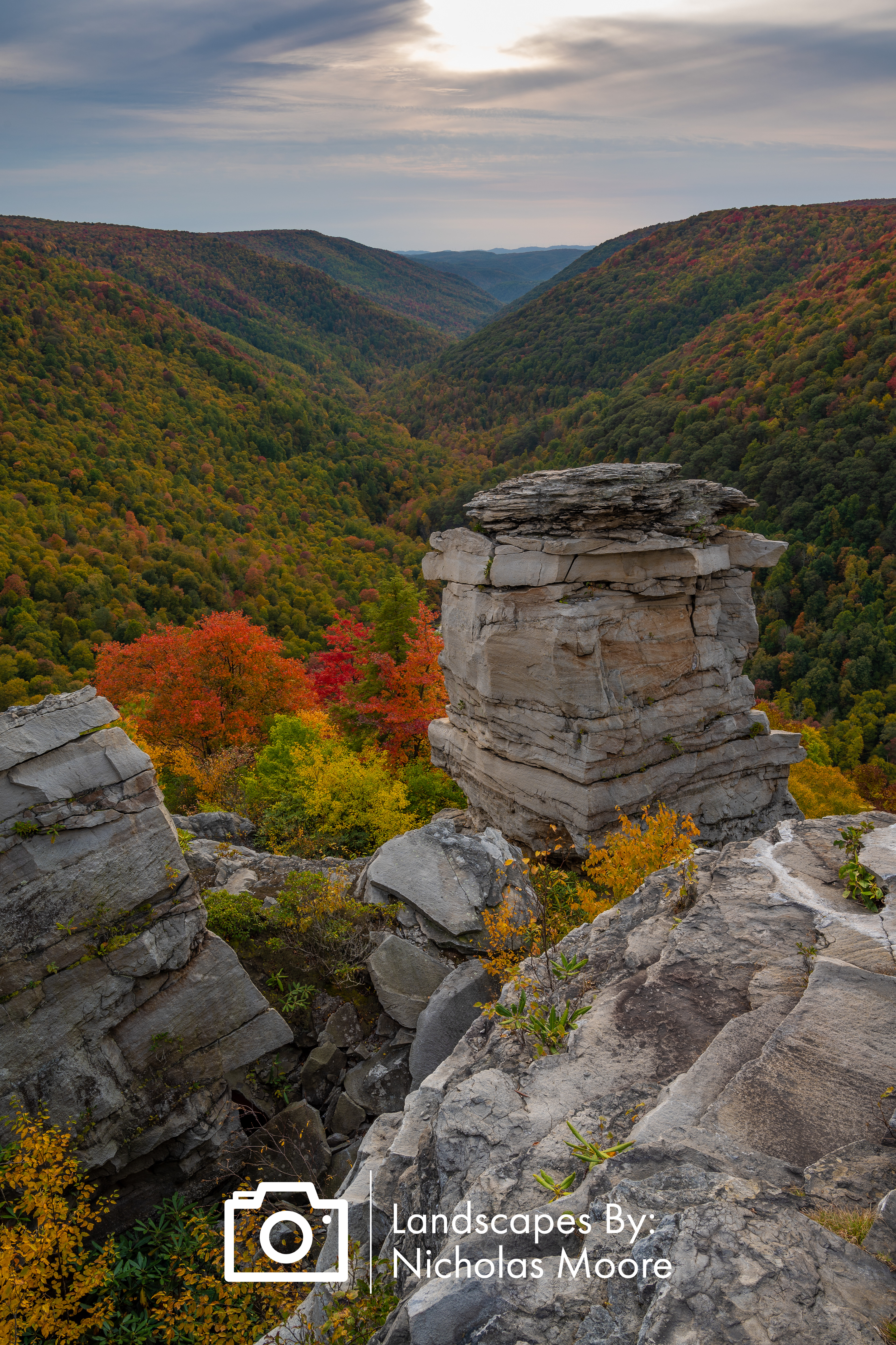 V03037 -WV