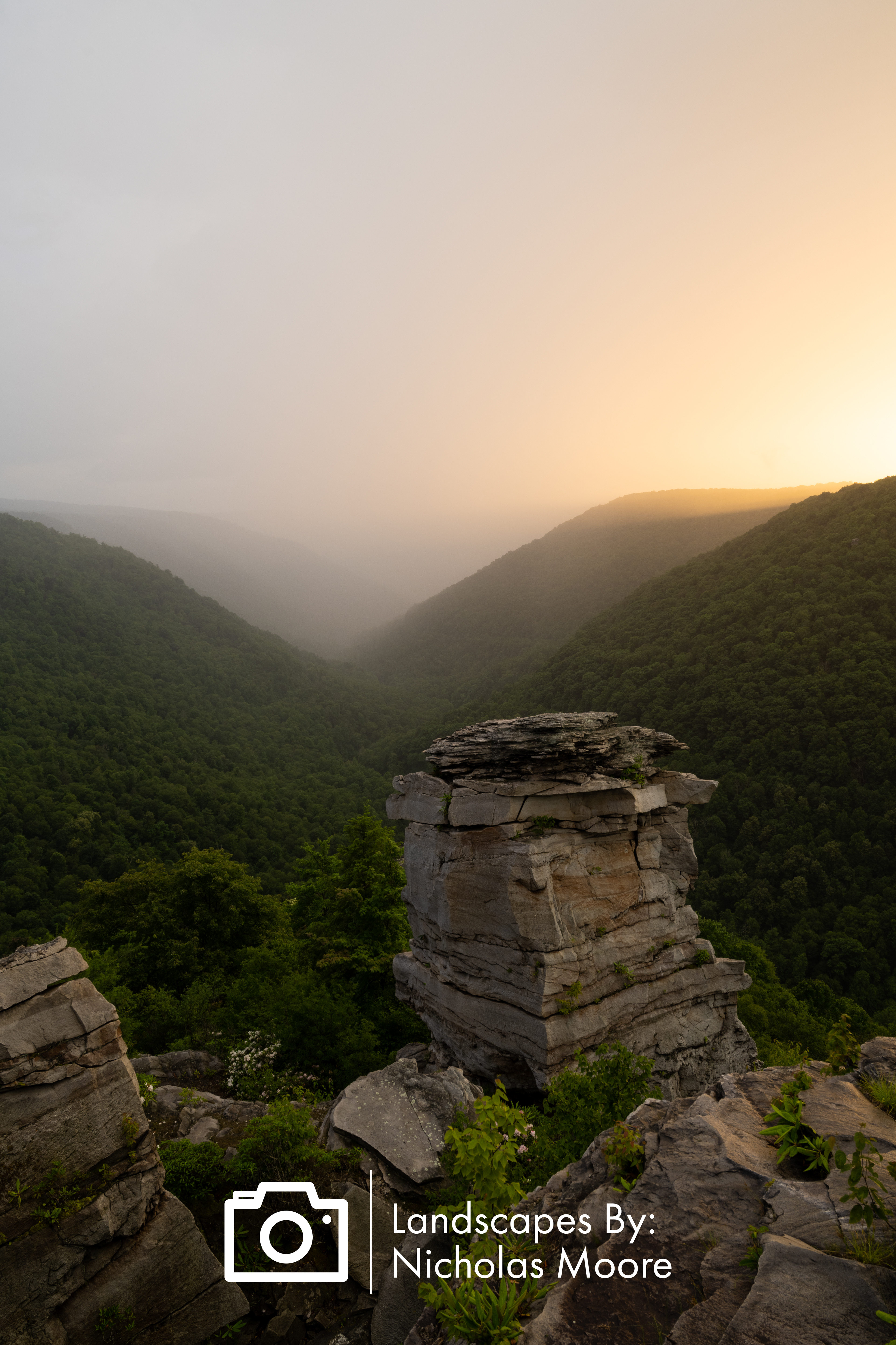 V03054 -WV