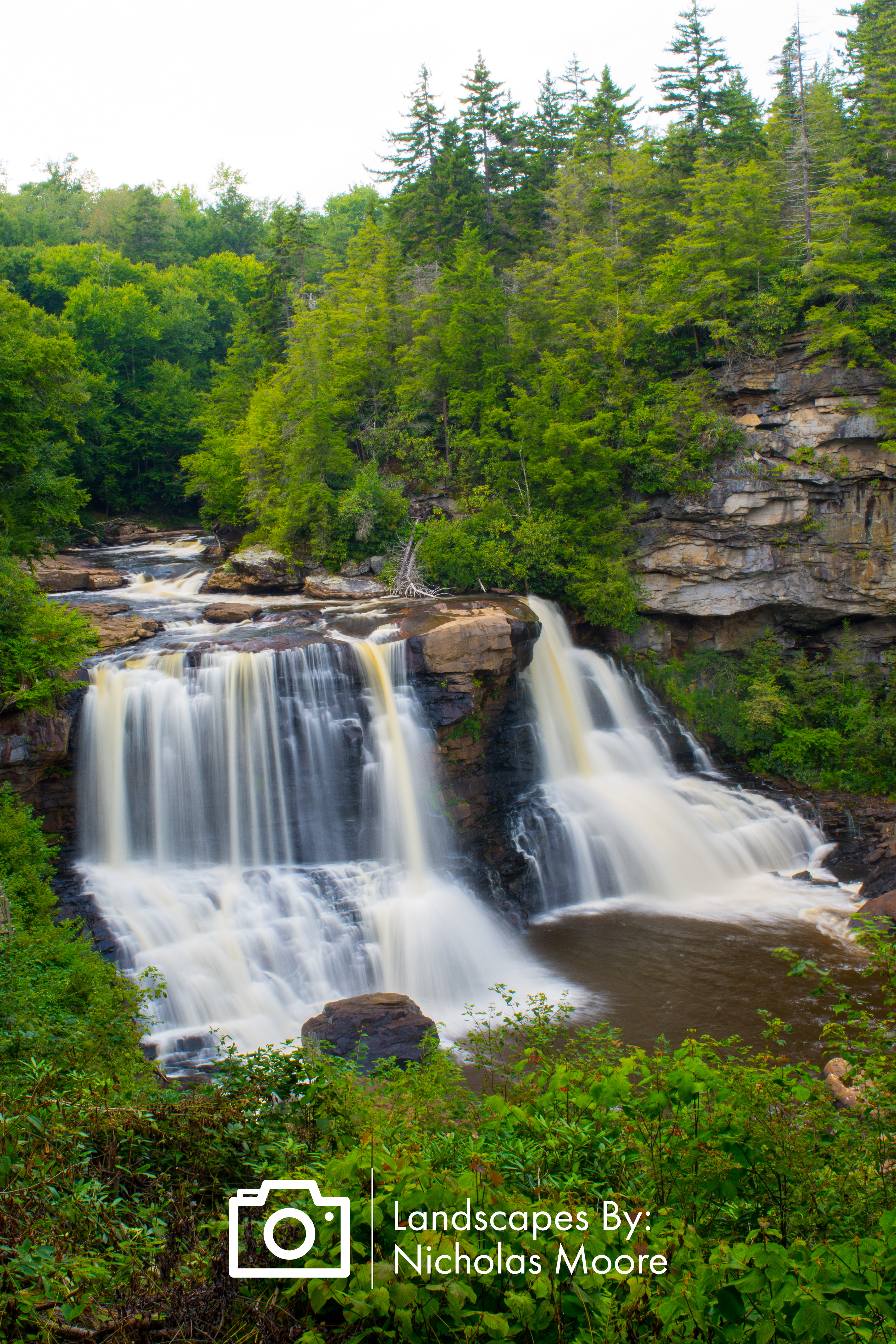 V03018 -WV