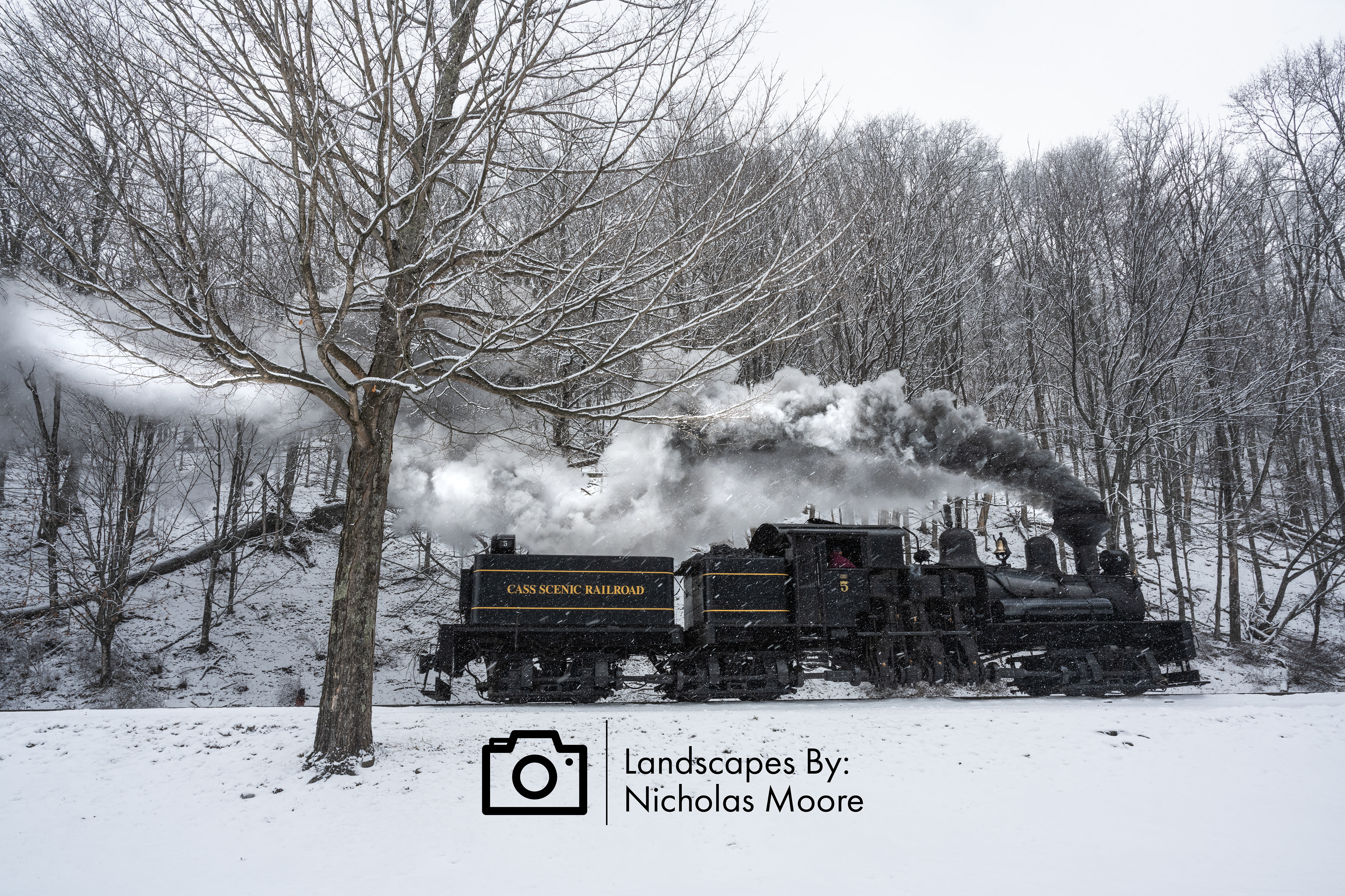 3033-WV SHAY 5