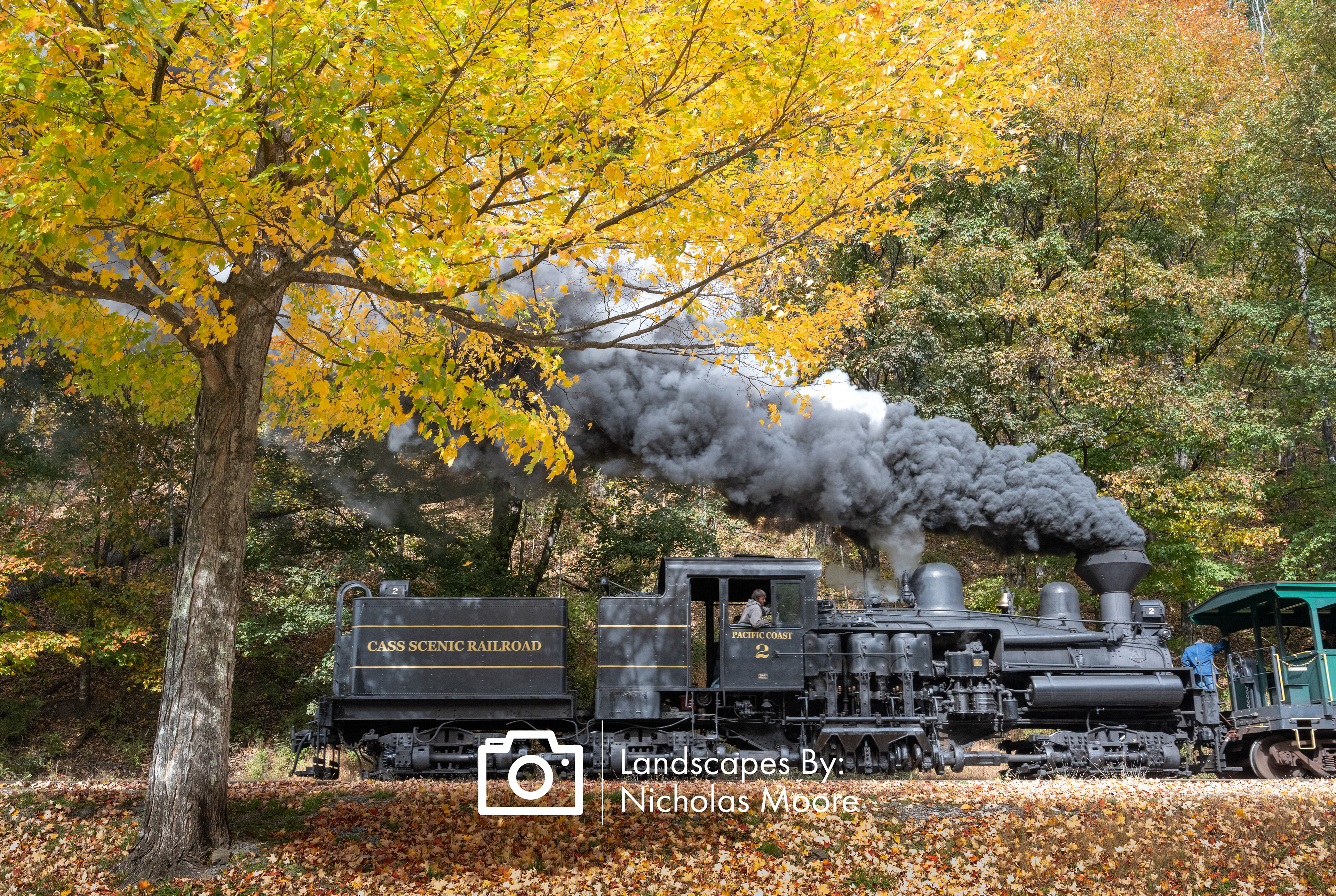 3051-WV SHAY 5