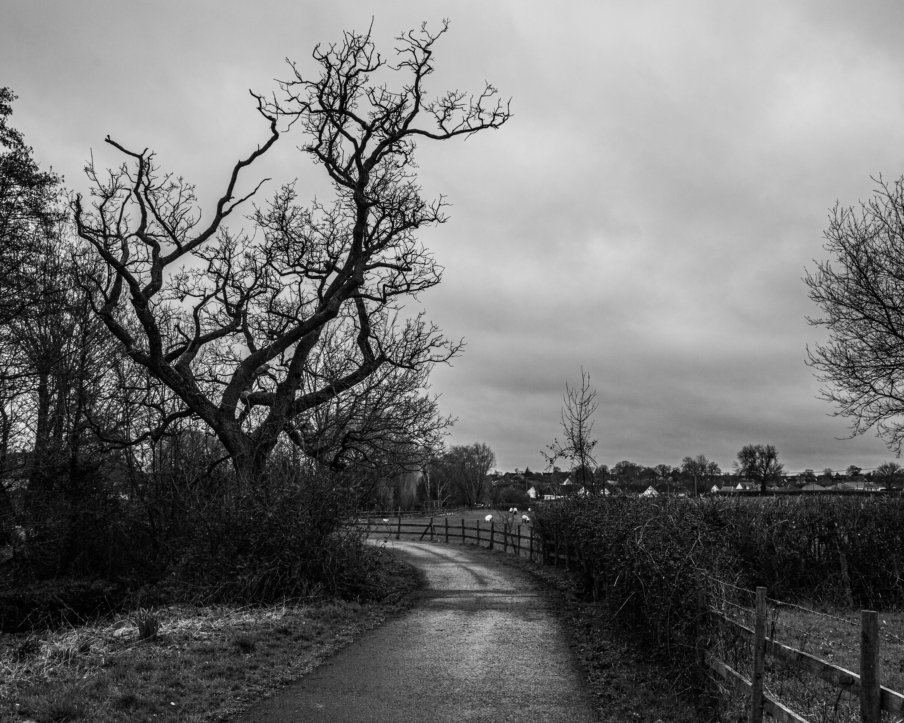 photo in gillingham dorset taken with a canon ef 24-105 lens