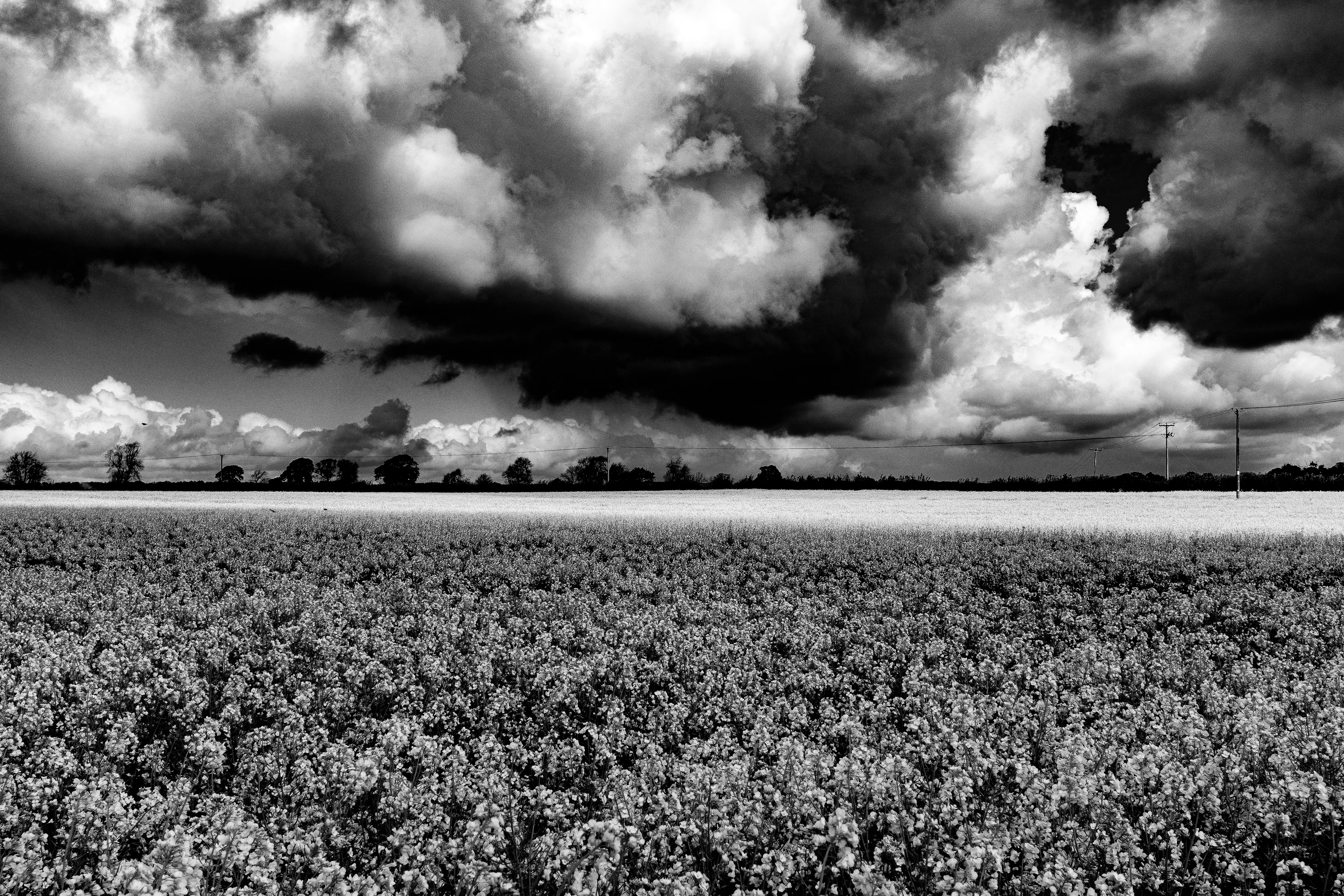 photographer gillingham dorset