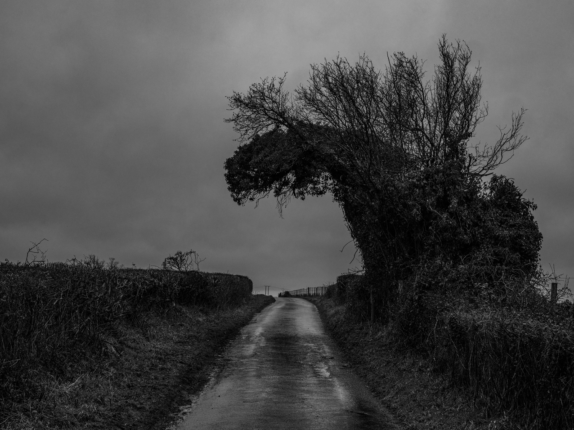 Silton north dorset near gillingham monochrome landscape