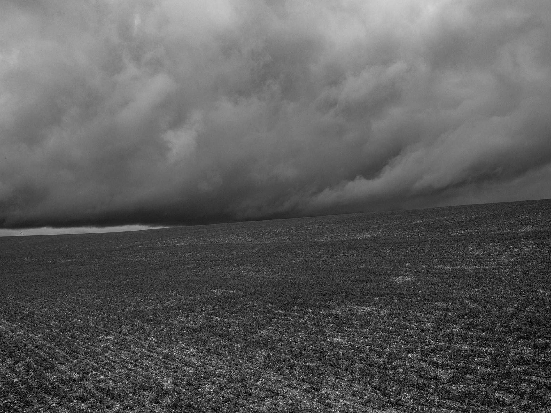 moody landscape black and white out on mere downs wiltshire