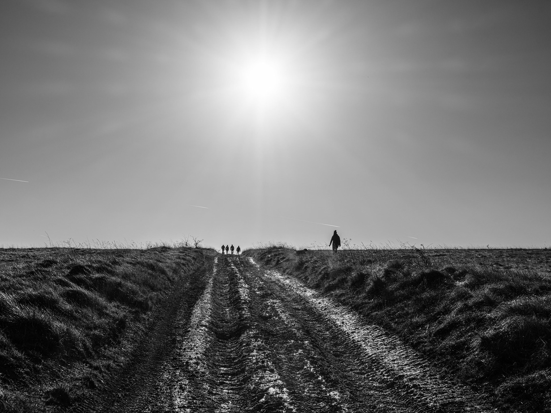 salisbury plain Wiltshire monochrome landscape