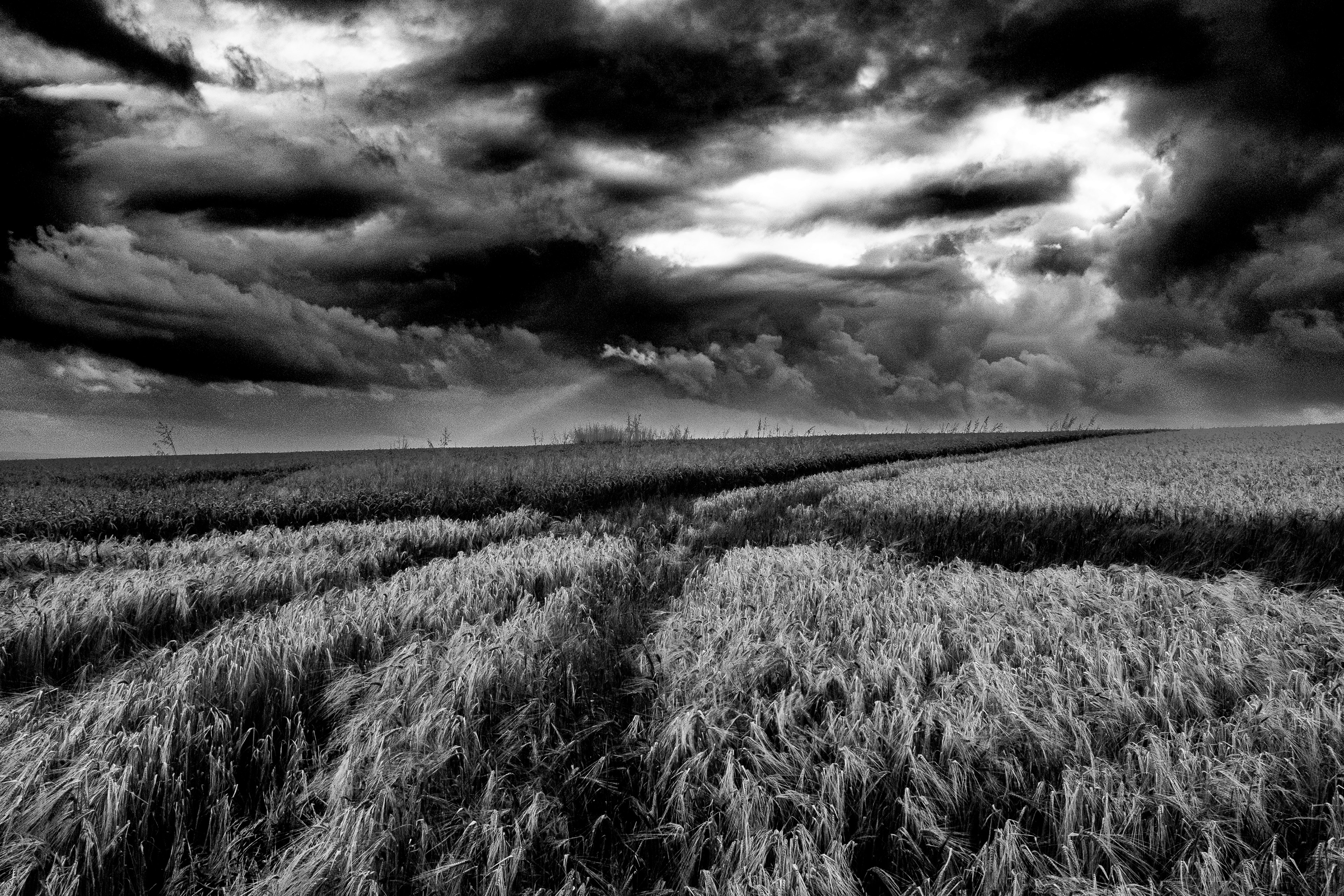 storm mere down Wiltshire