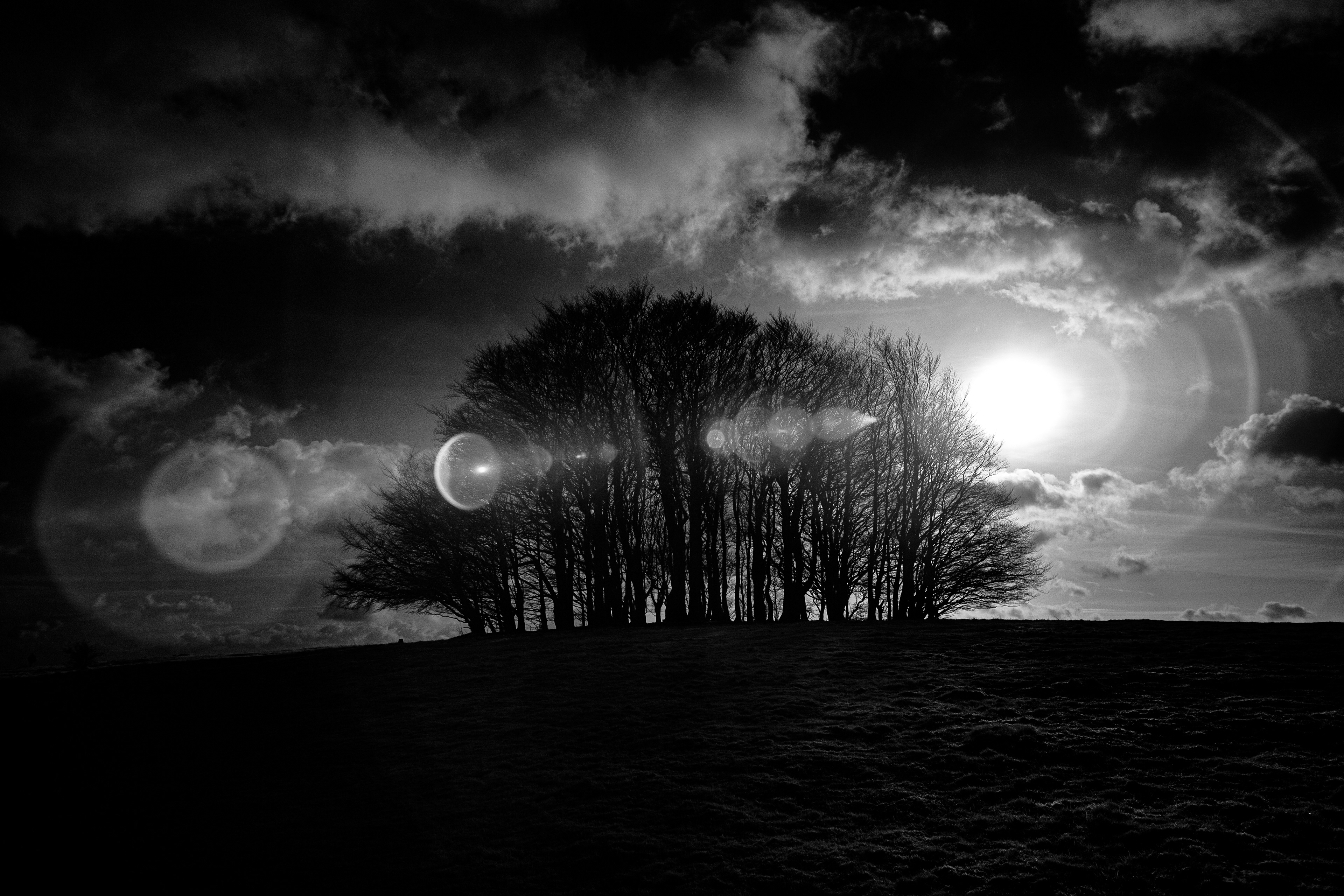 win green Wiltshire national trust