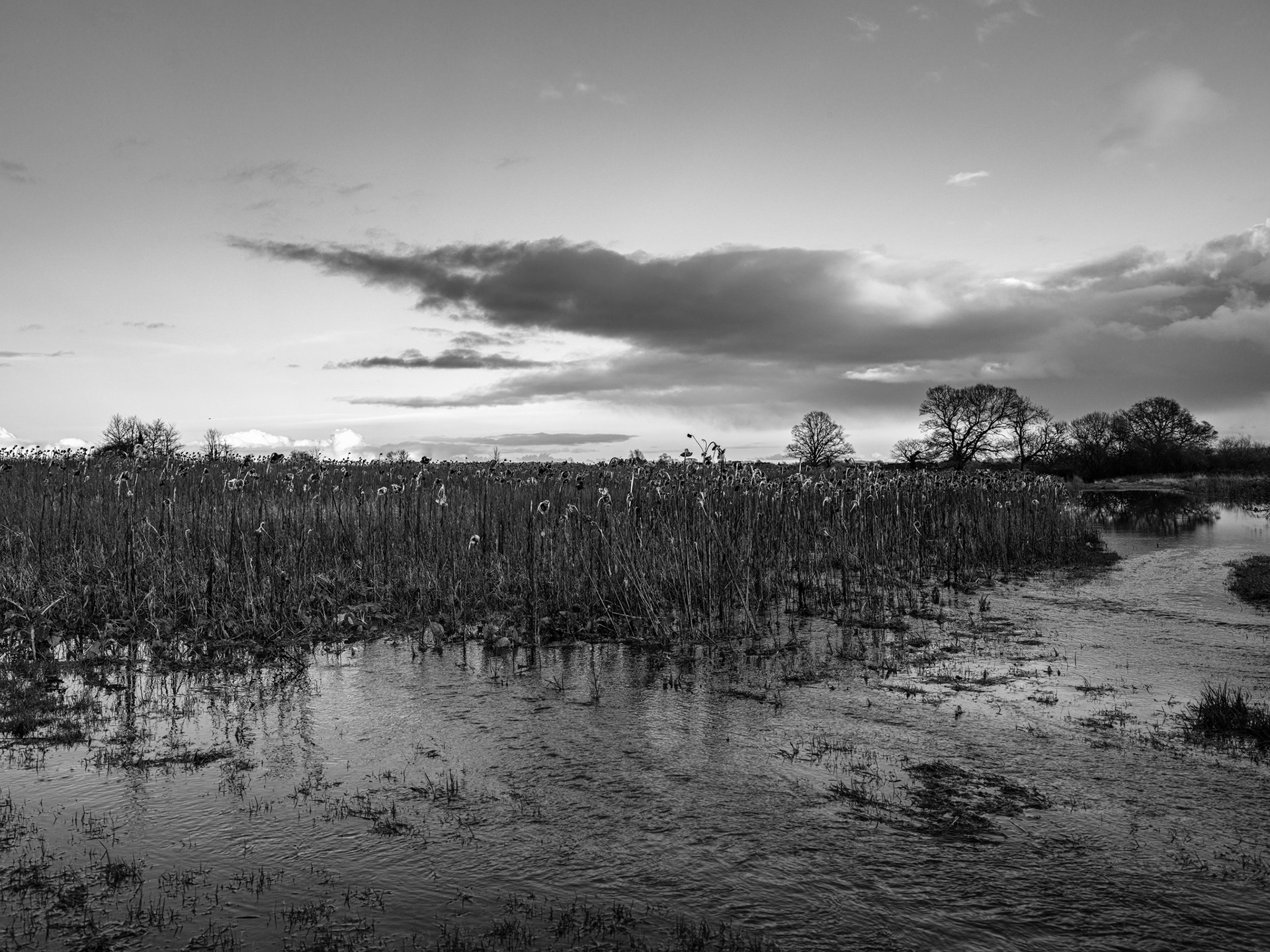 flood gillingham dorset after storm Chandra