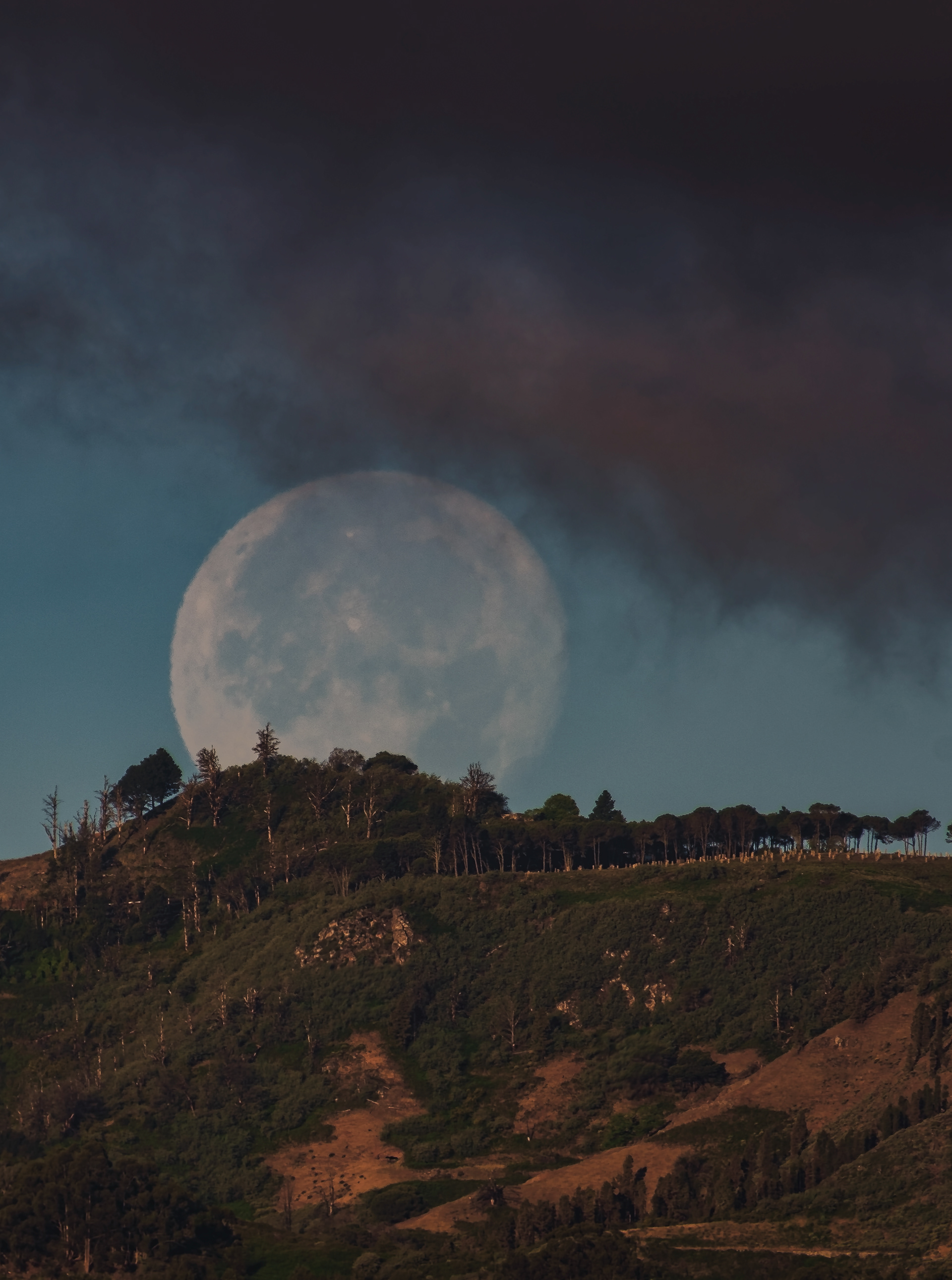 Puesta de luna de las Flores