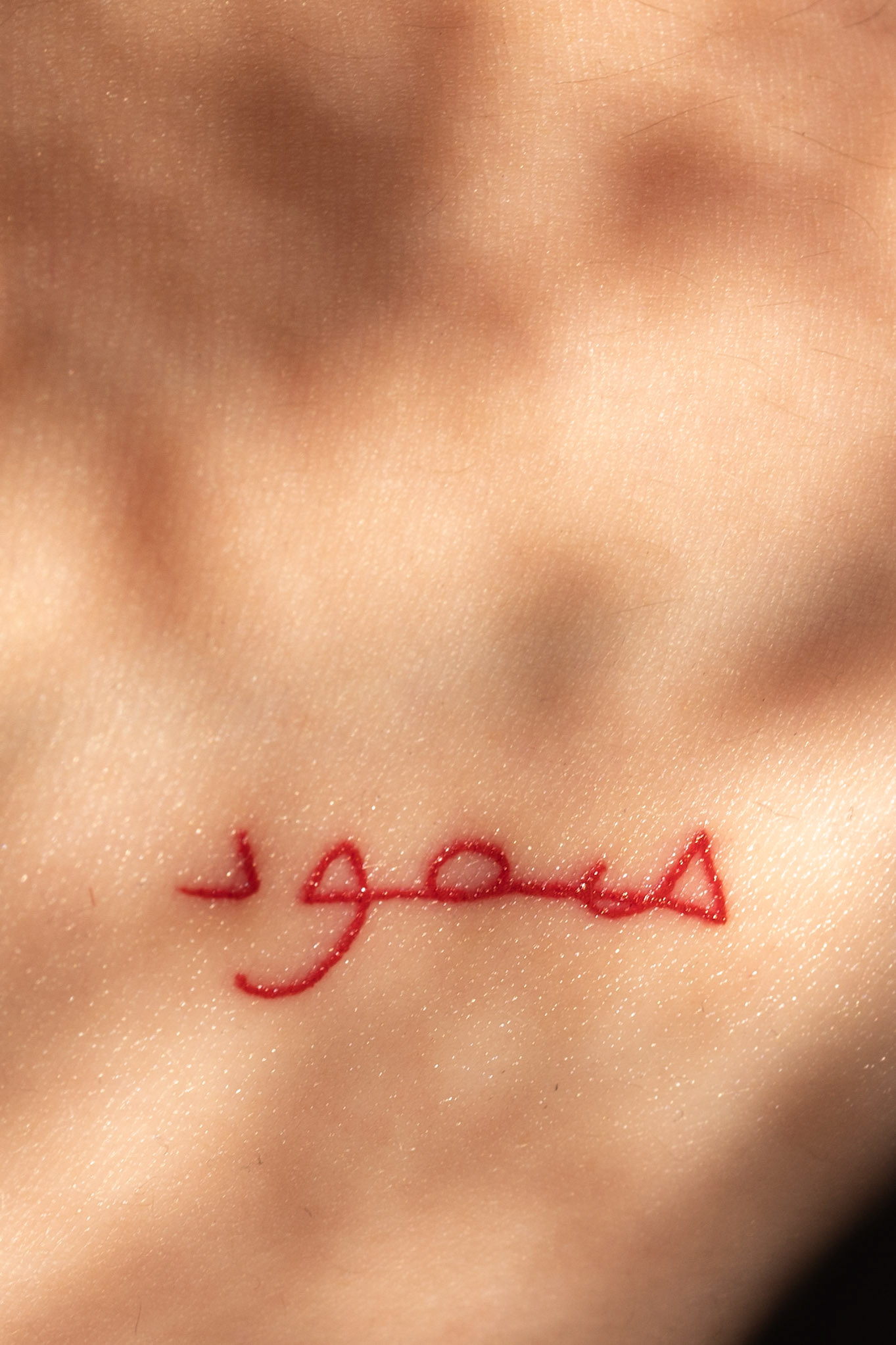 صمود Sumud; Palestinian Arabic for steadfastness.