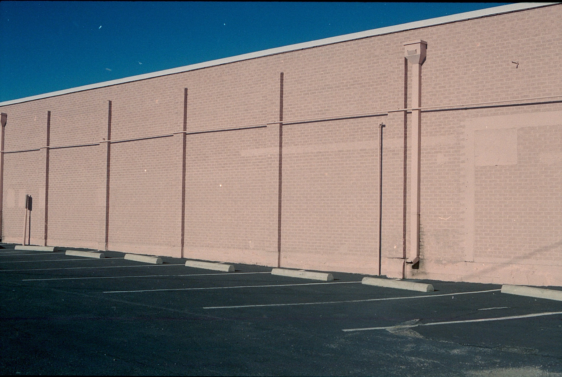 my parents made a u-turn to snap a photo of the pink backlot wall. the three of us took our own shot. 2021.
