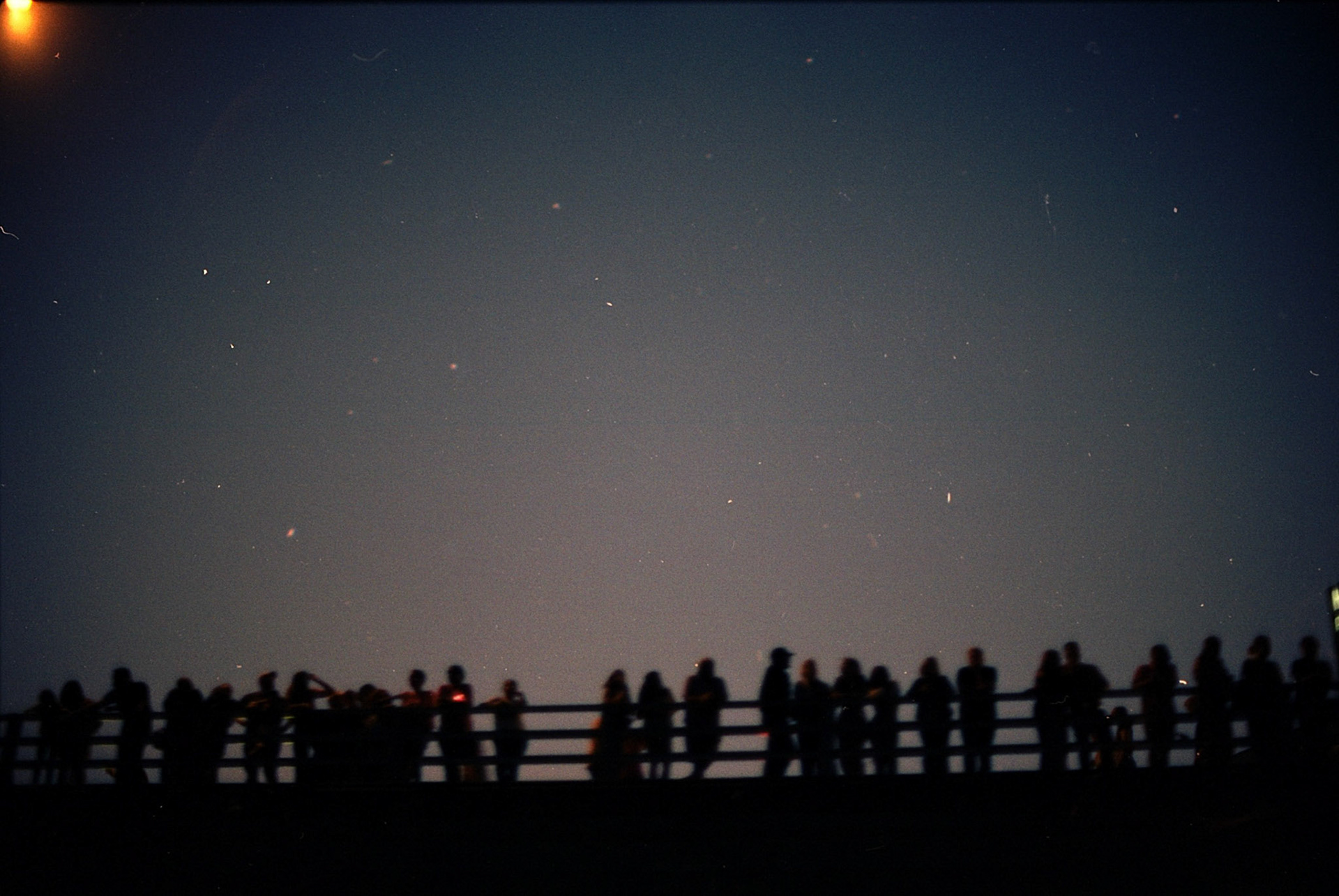 the crowd waits for austin's bats to fly out from under the bridge. 2022.