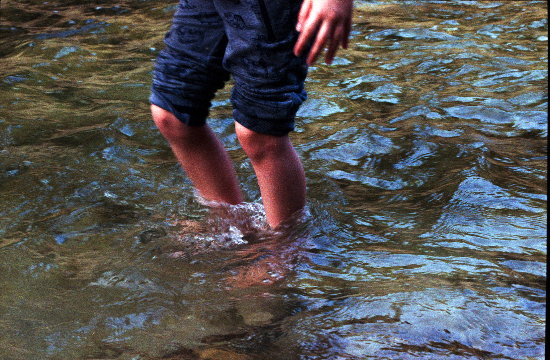 Sami rolls up his dinosaur pants to wade in the creek behind our house.