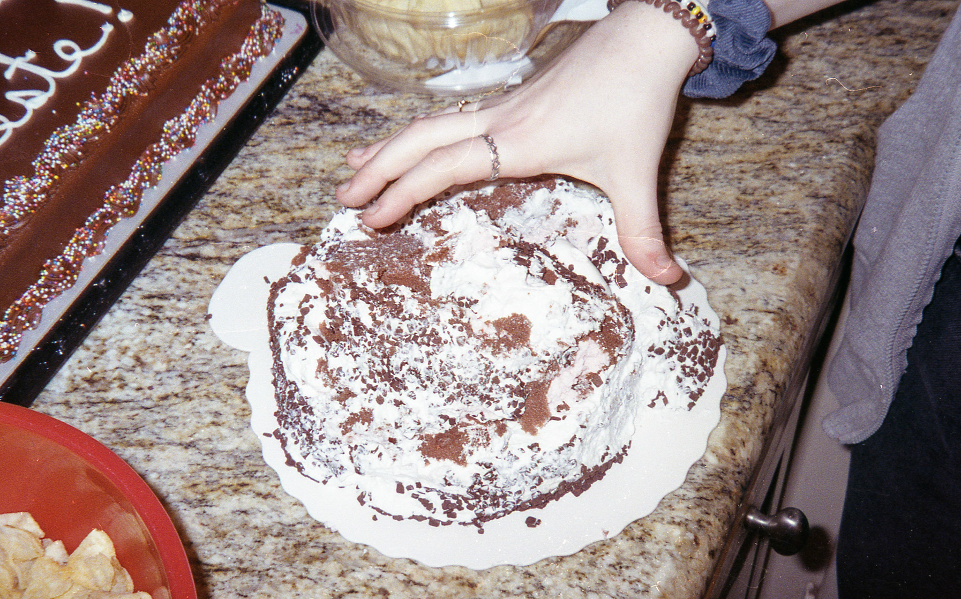 Celeste's surprise birthday party cake, the on e that was made to be destroyed.