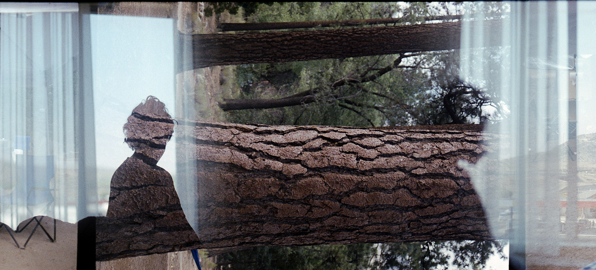 accidental double exposure, captured summer 2021.