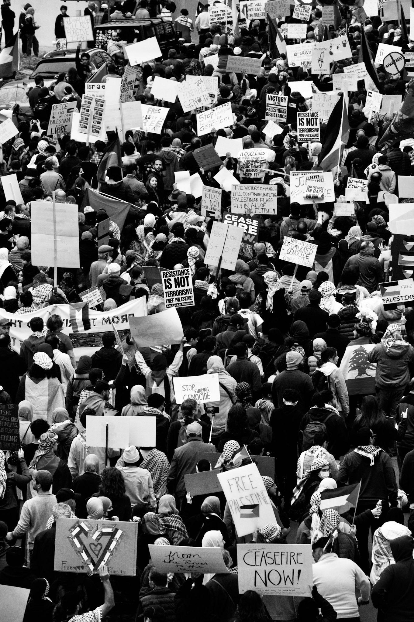 Over 15,000 marched from the Capitol through downtown Austin on Sunday calling for an immediate ceasefire in Palestine, an end to the United States' aid to Israel and an end to the siege on Gaza, on Nov. 12, 2023. The Palestine Solidarity Committee, Palestine Youth Movement and Students for Justice in Palestine chapters across the state collaborated on what they say is one of the largest protests for Palestine in Texas history. 