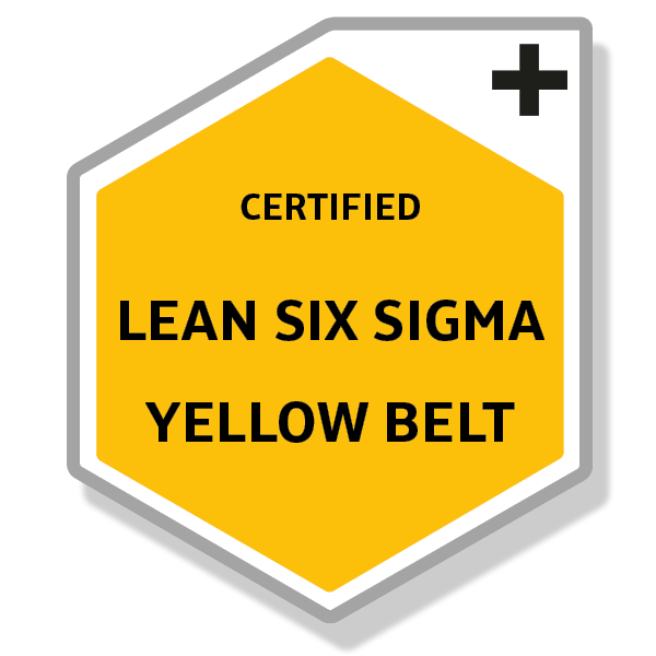 Lean Six Sigma Yellow Belt