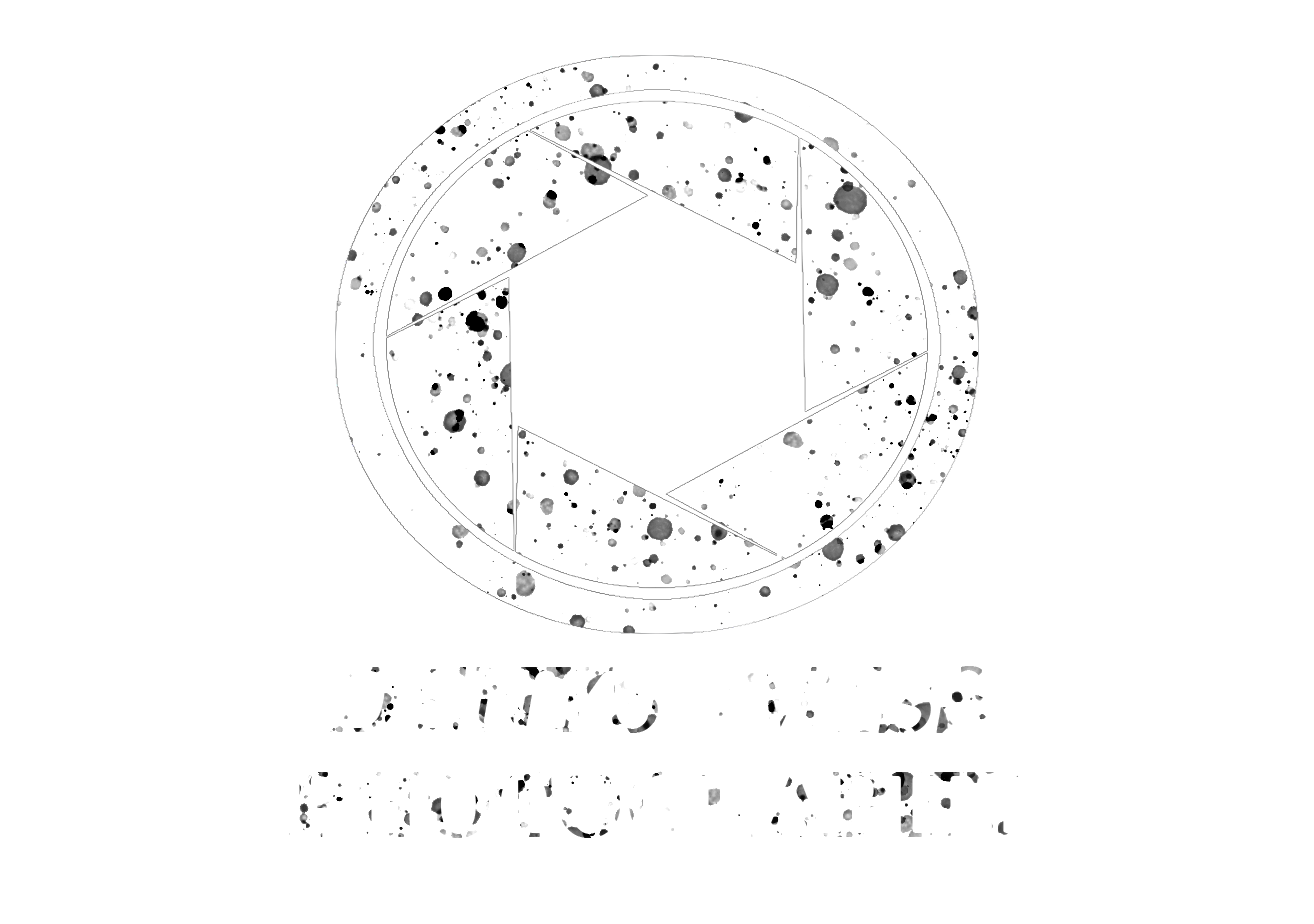Denys Twiss Photography