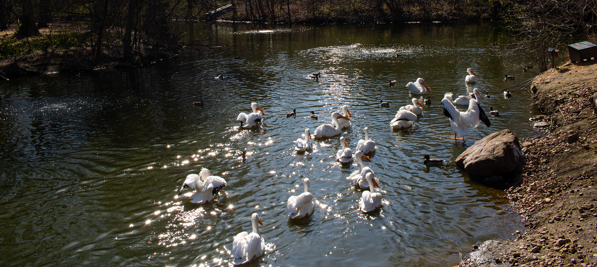 birds @ the zoo! [03.24]