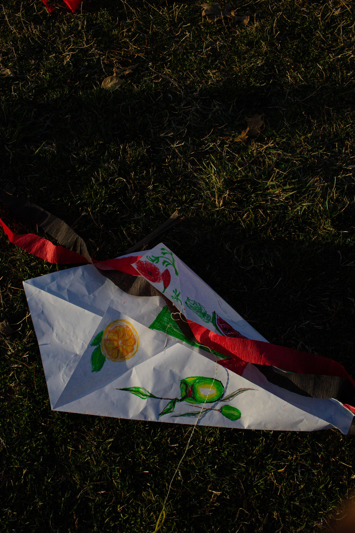 kites 4 palestine! [03.24]