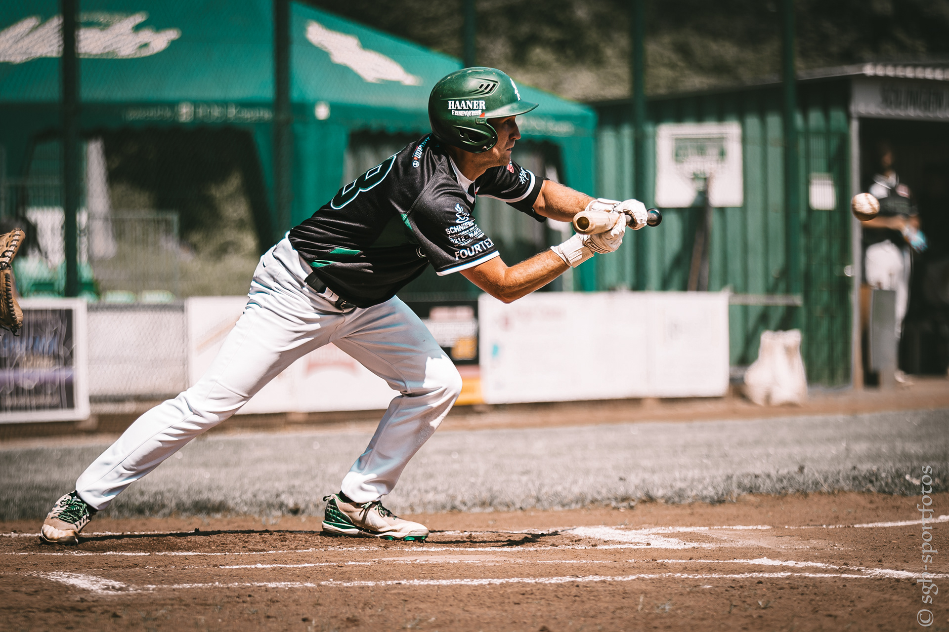 Baseball Solingen Alligators