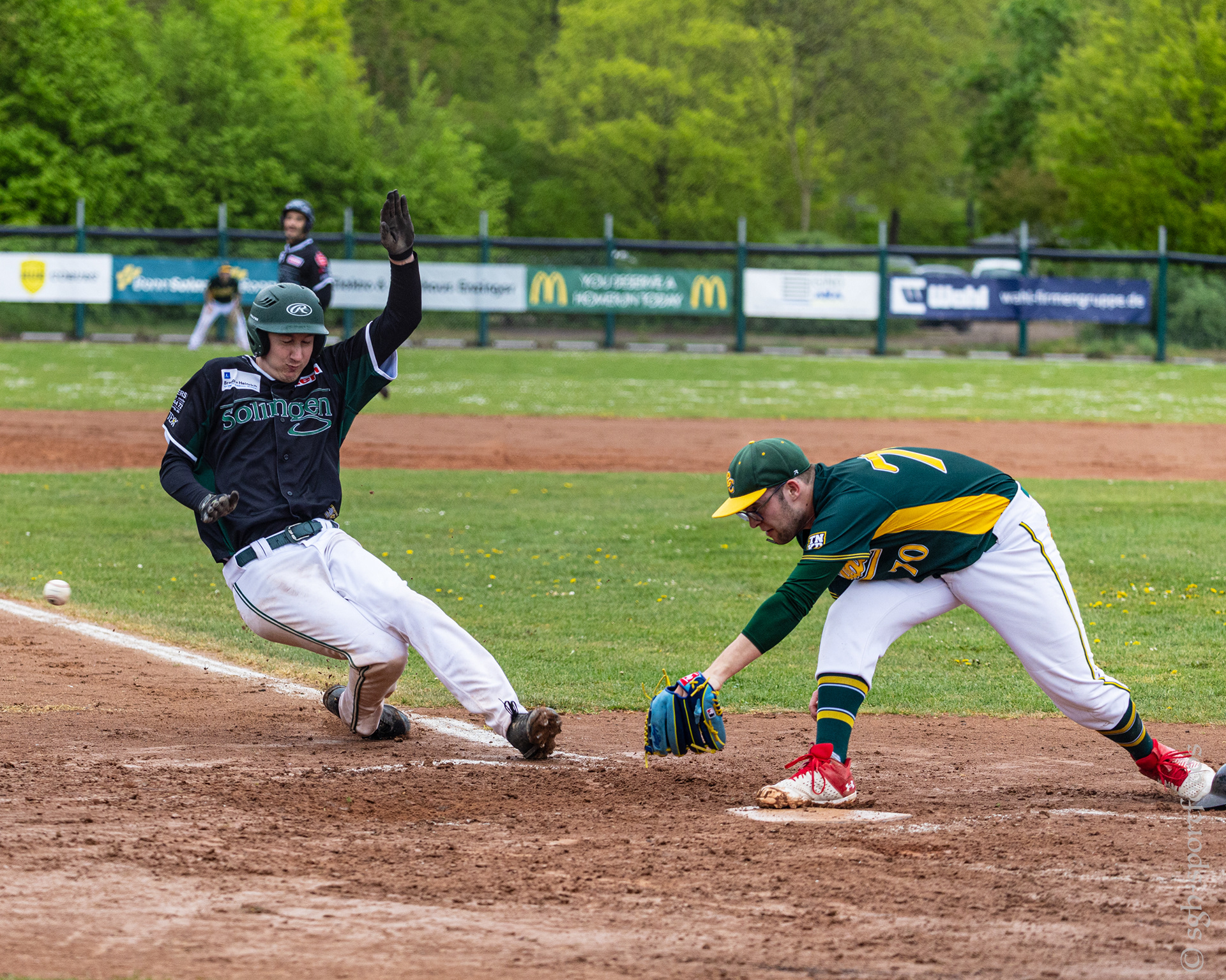 Baseball Solingen Alligators
