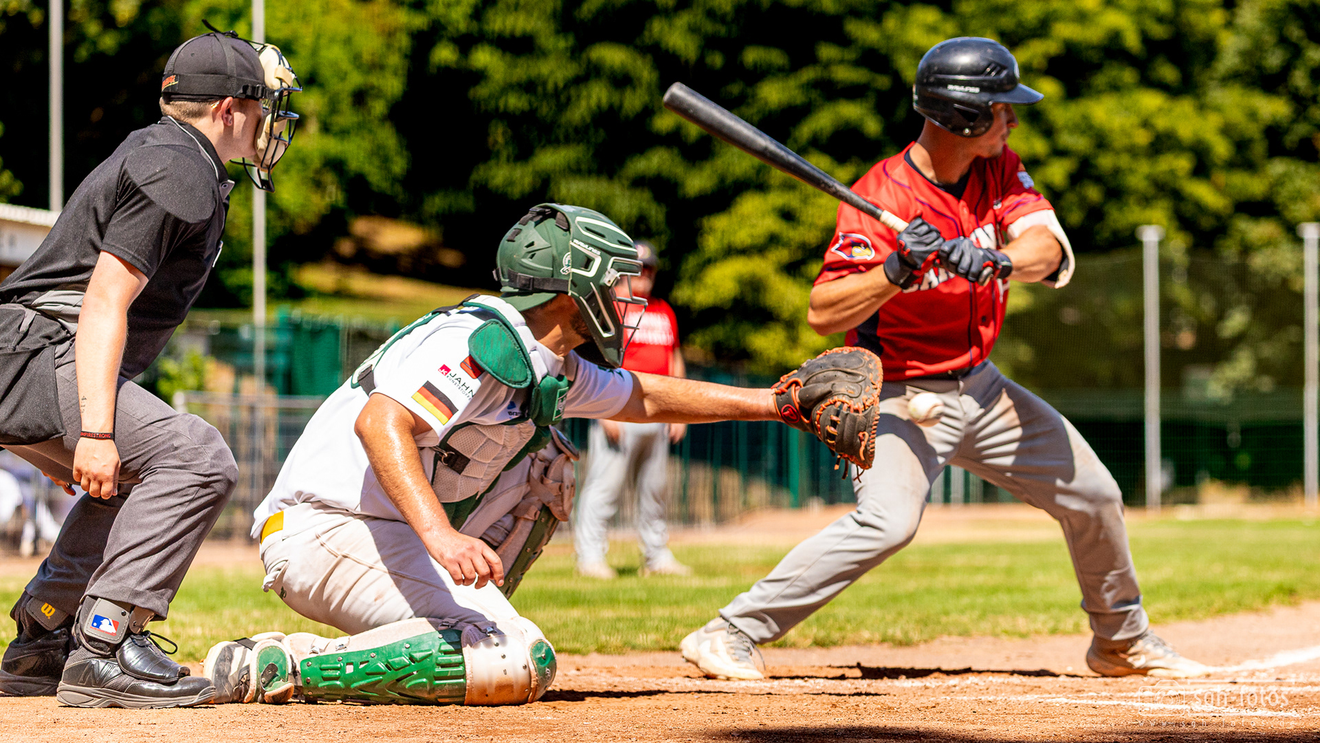 Baseball Solingen Alligators