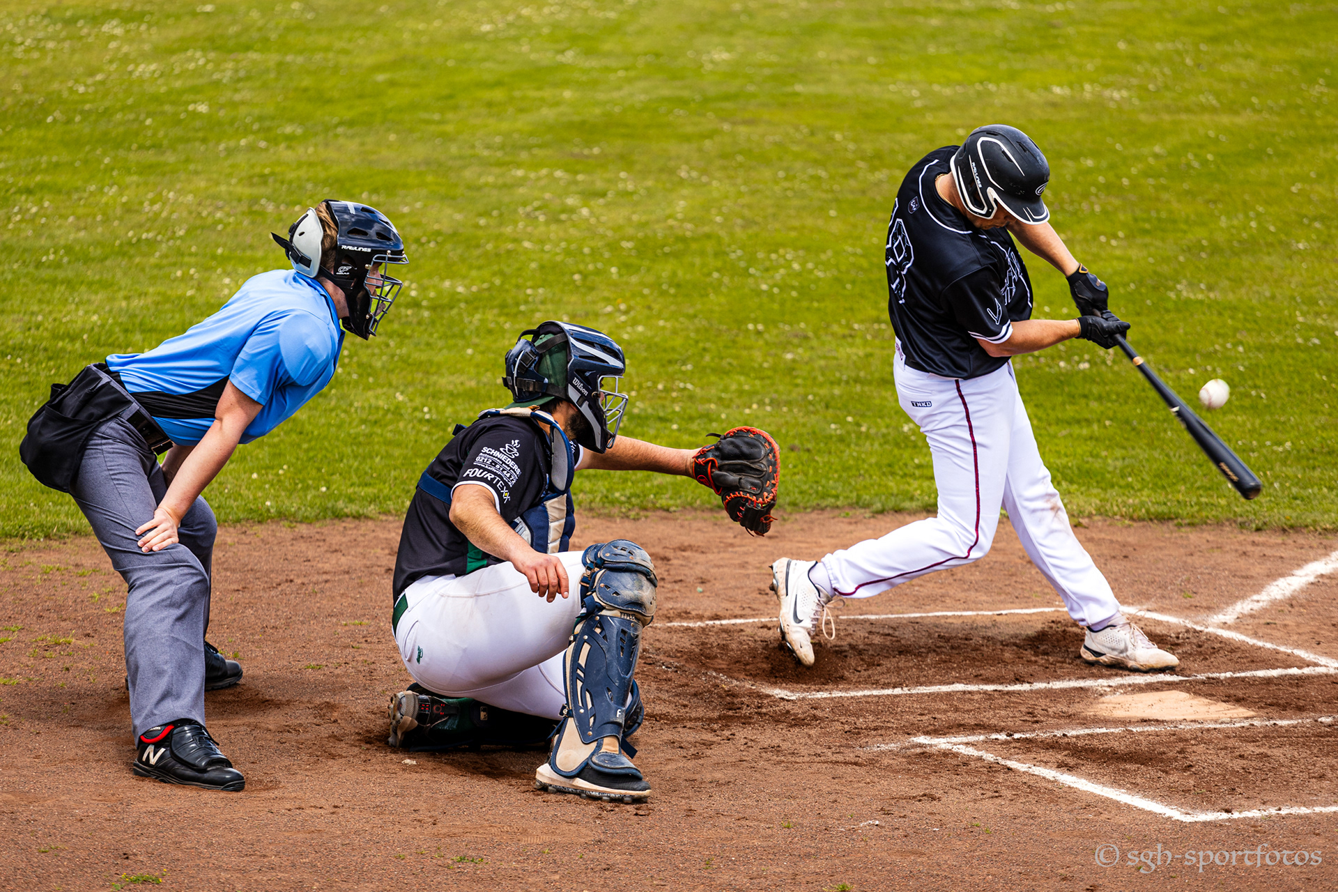 Baseball Solingen Alligators