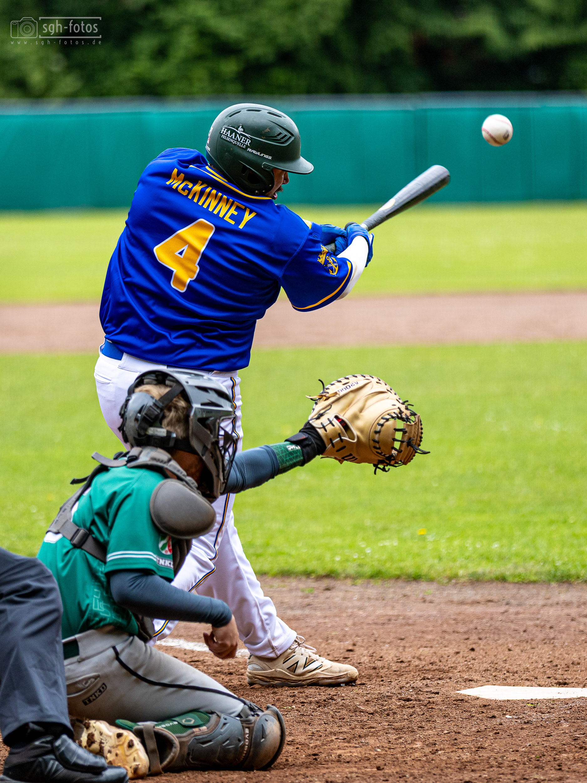 Baseball Solingen Alligators