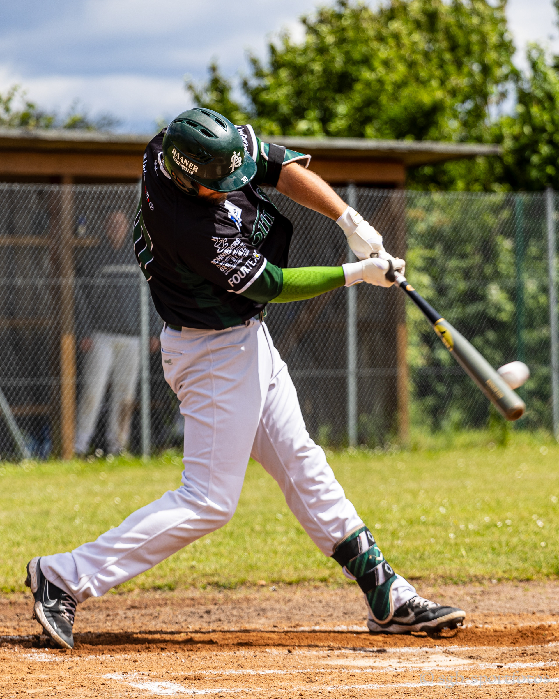 Baseball Solingen Alligators