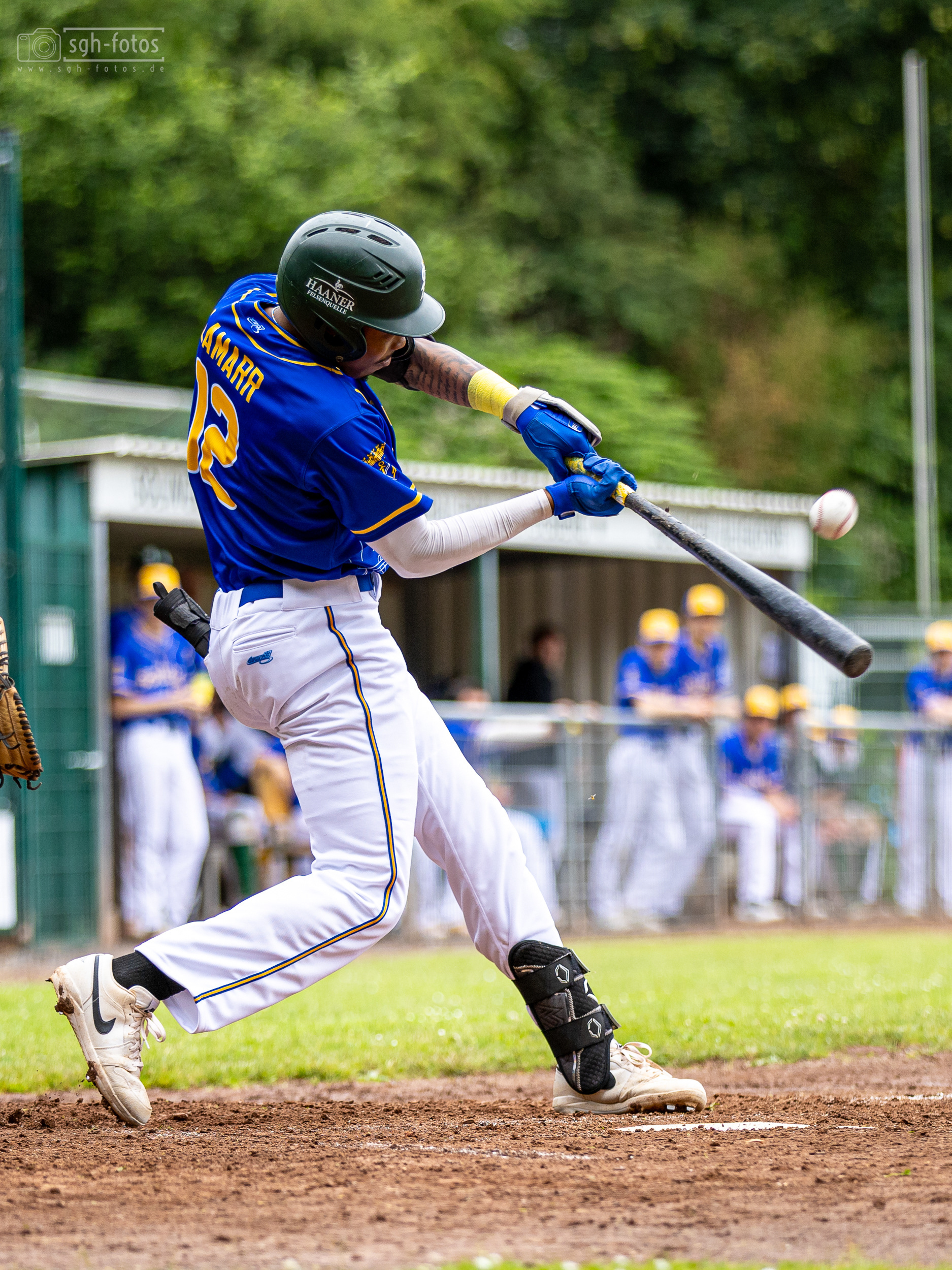 Baseball Solingen Alligators