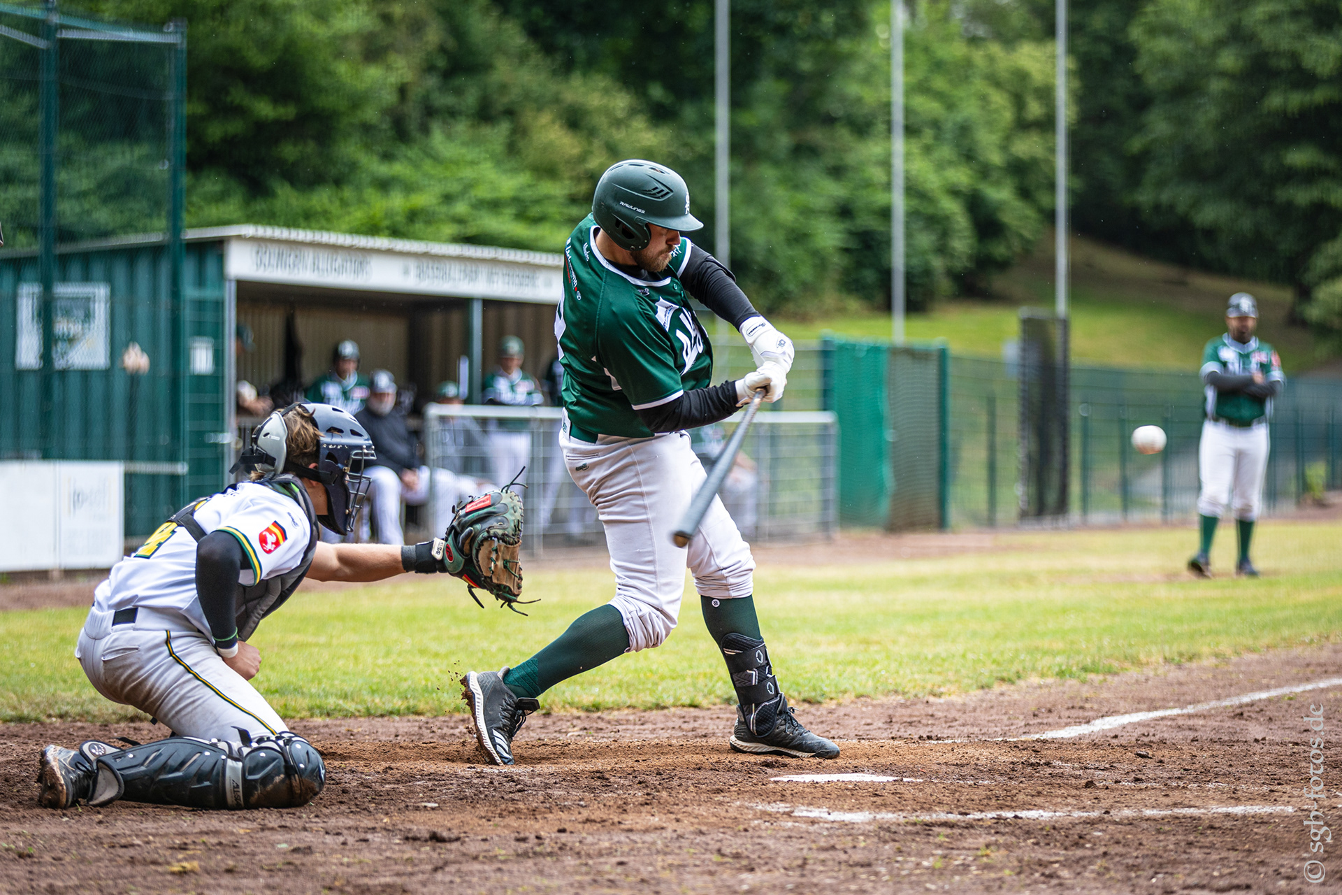 Baseball Solingen Alligators