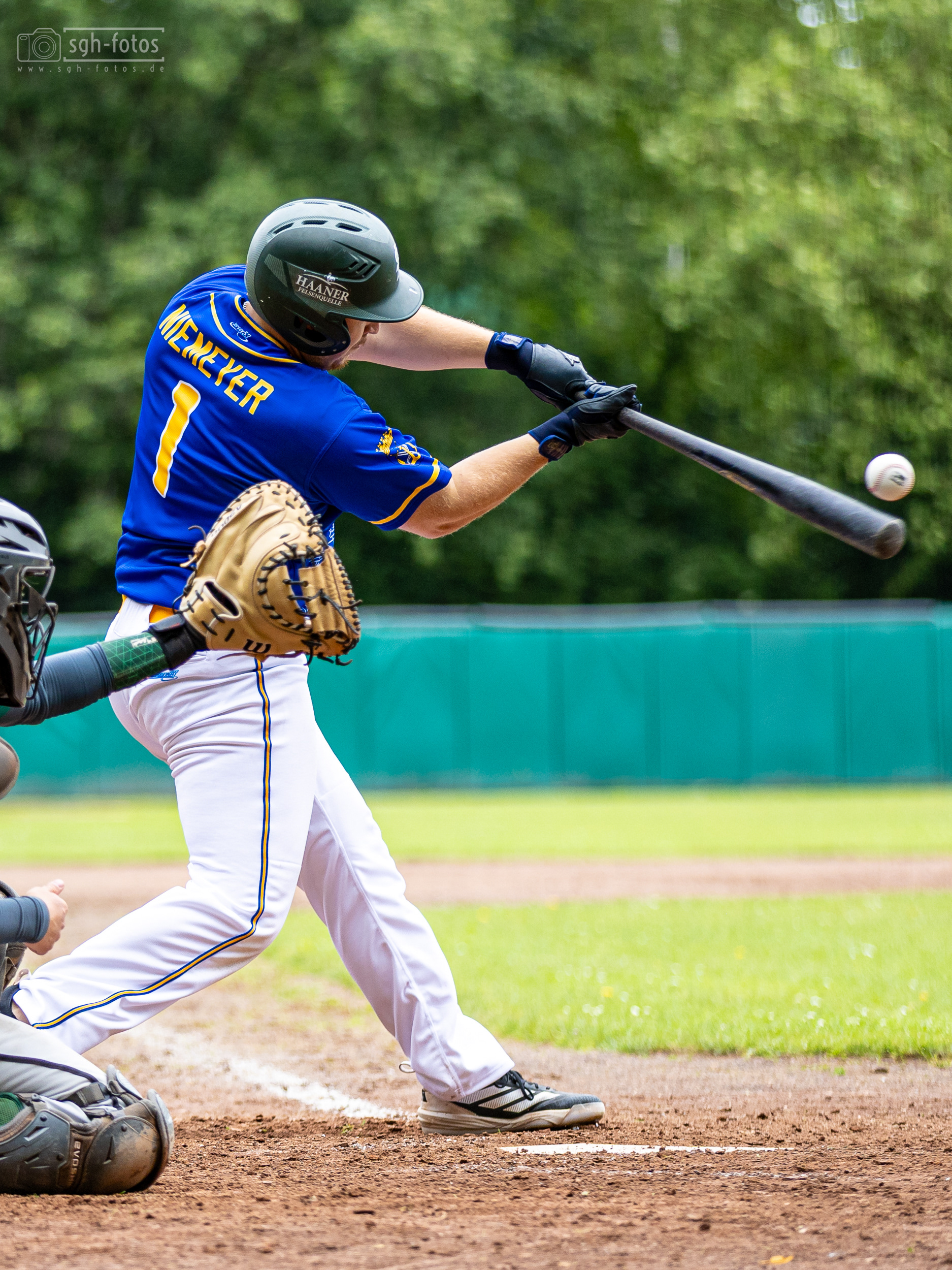 Baseball Solingen Alligators