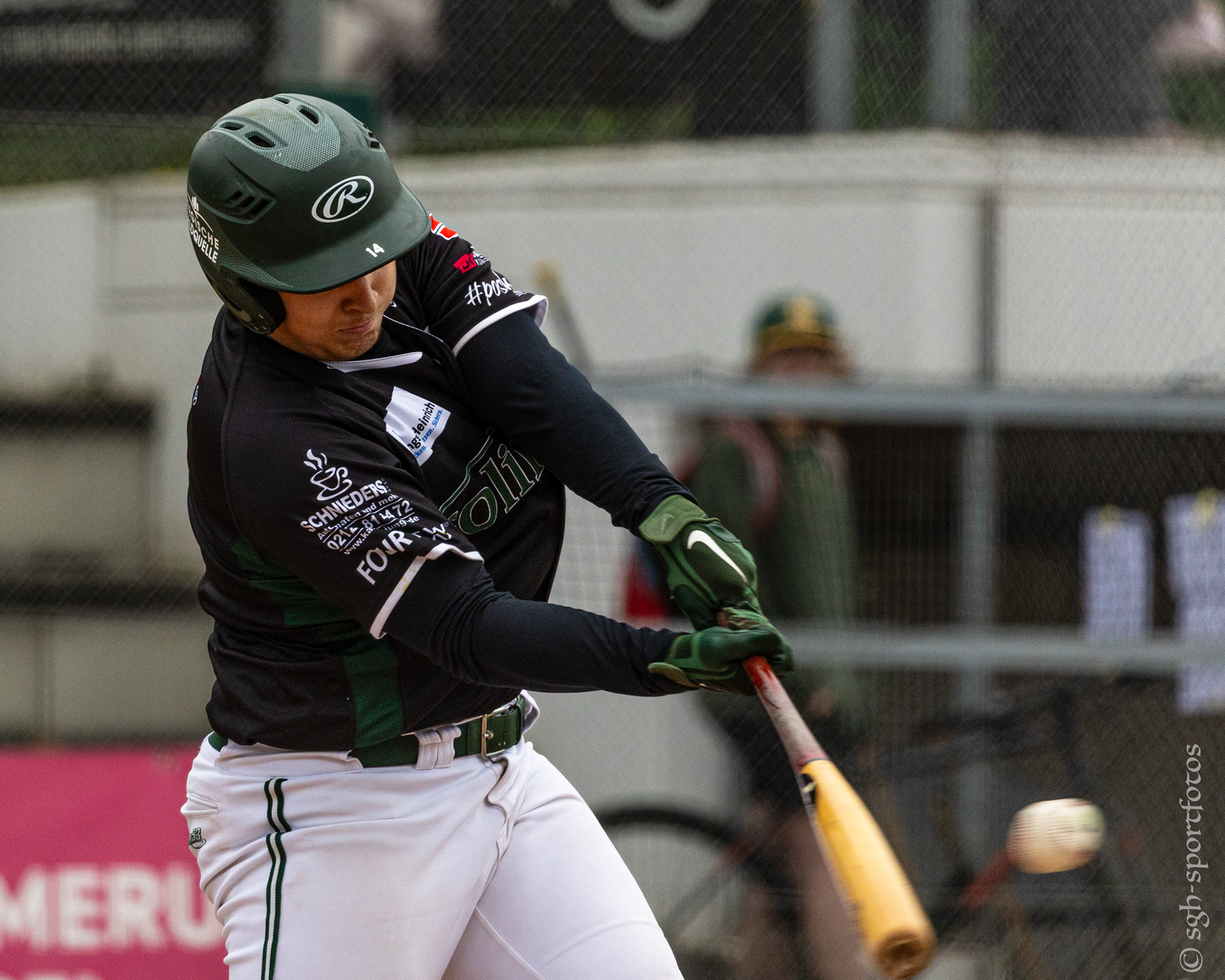 Baseball Solingen Alligators