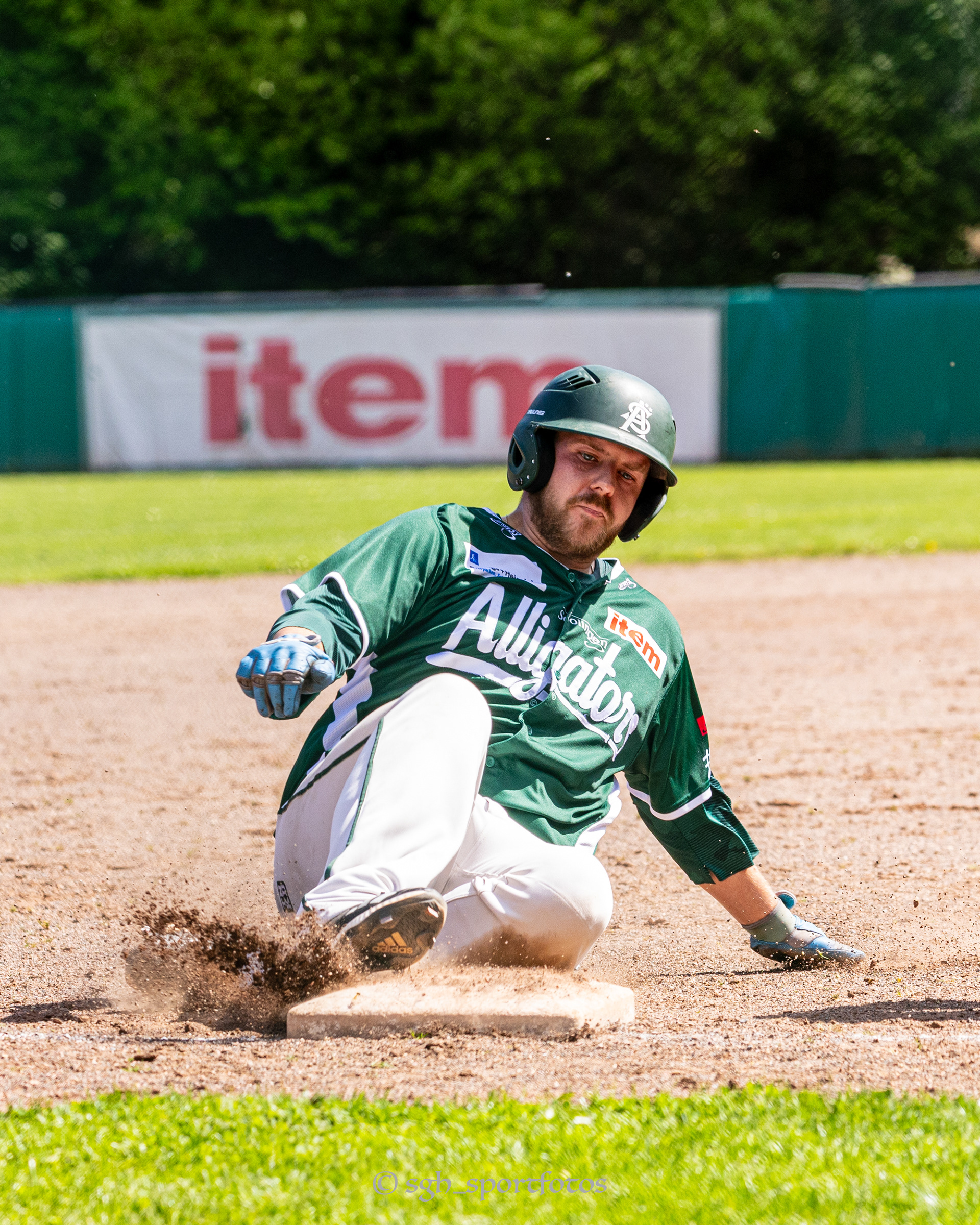 Baseball Solingen Alligators