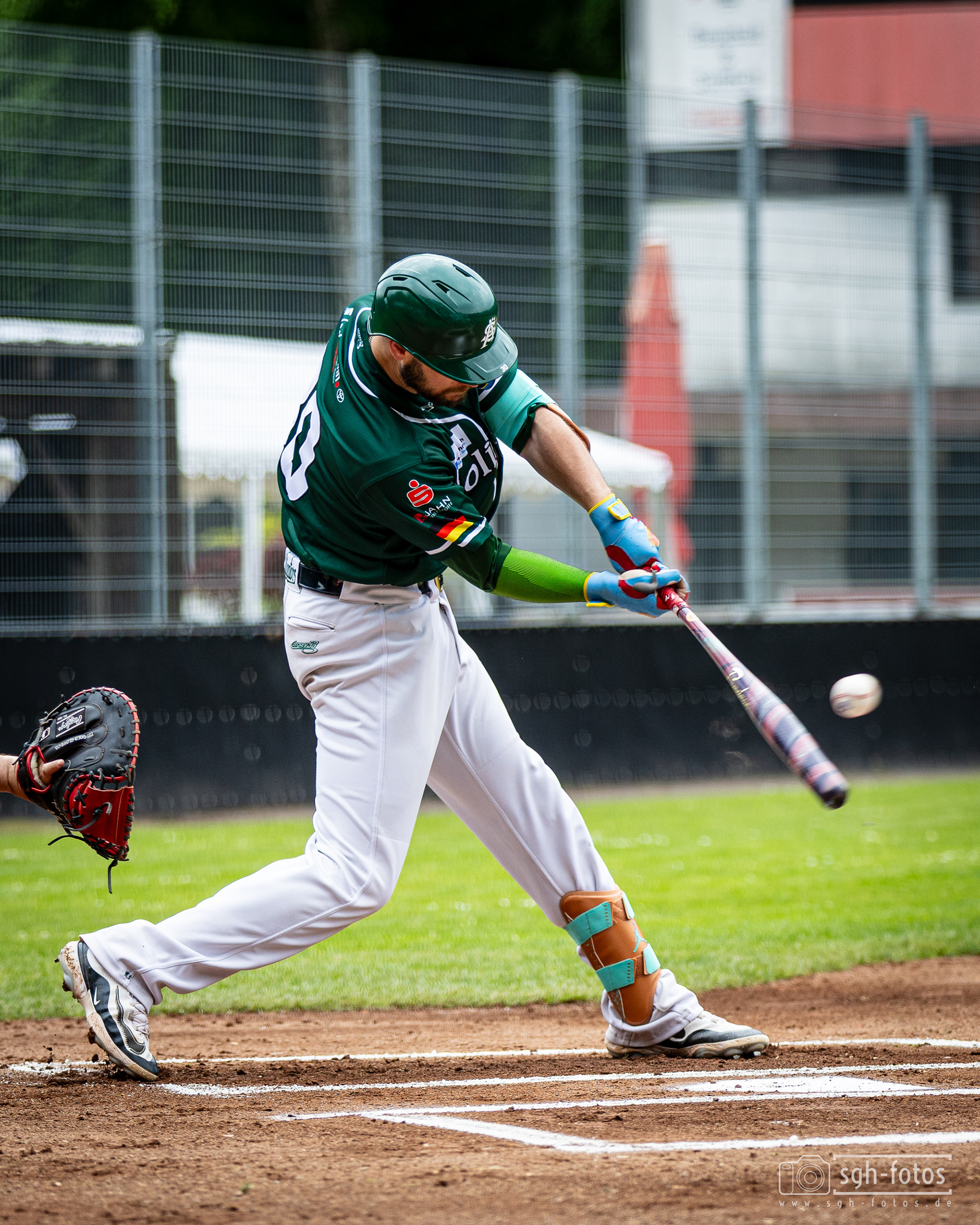 Baseball Solingen Alligators