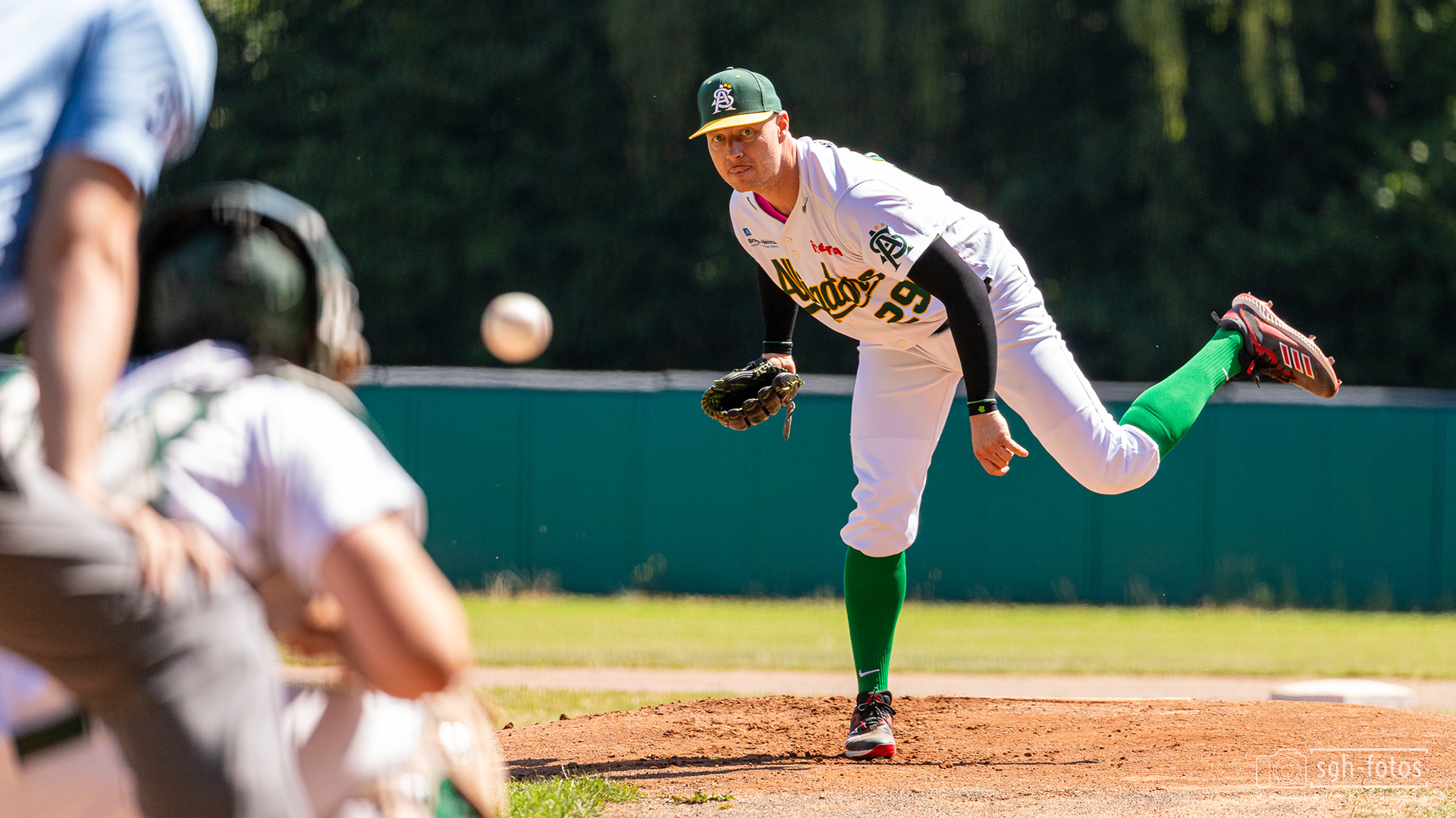Baseball Solingen Alligators