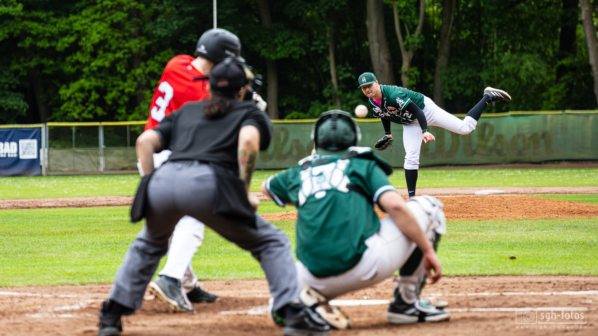 Baseball Solingen Alligators