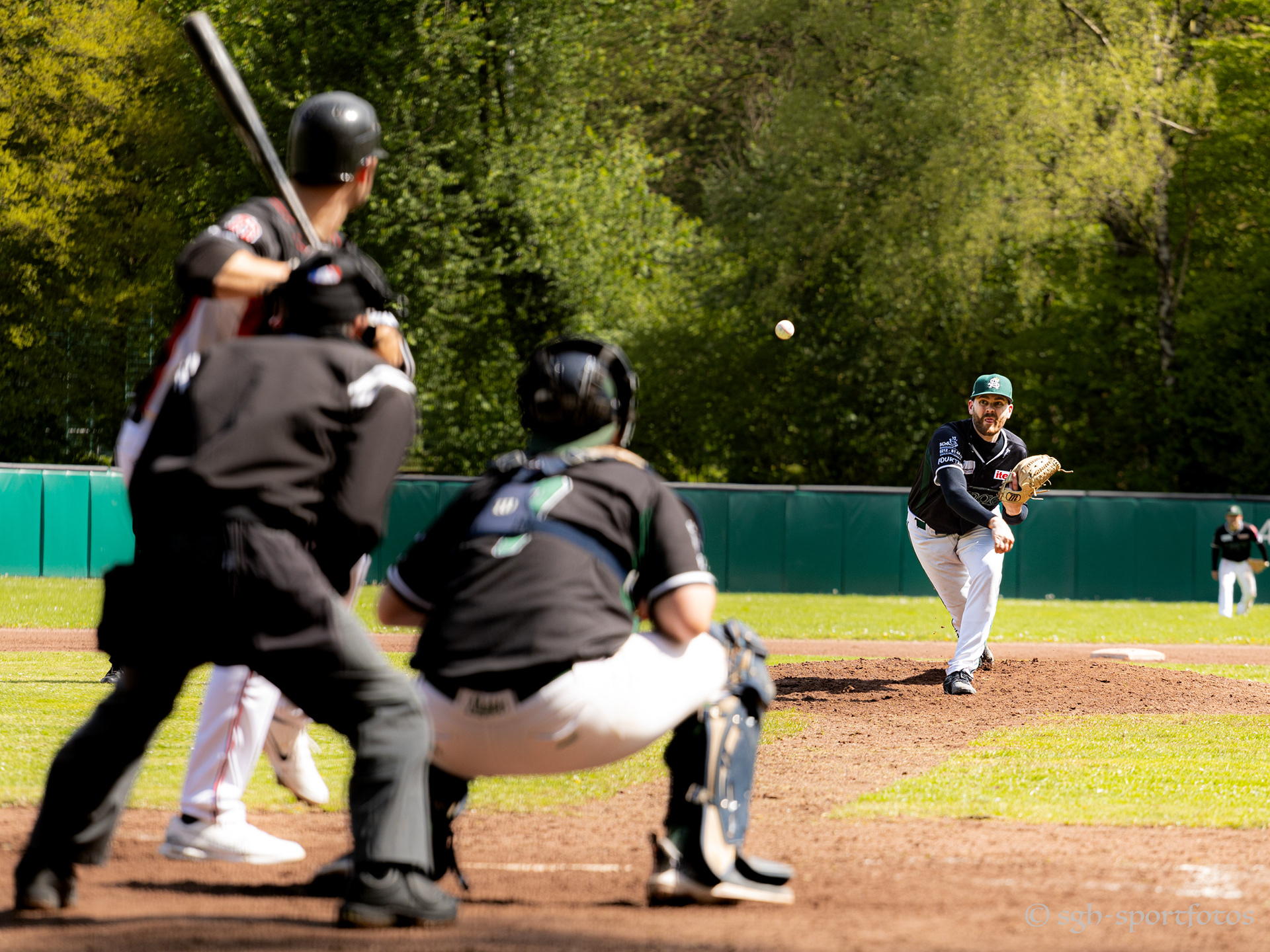 Baseball Solingen Alligators