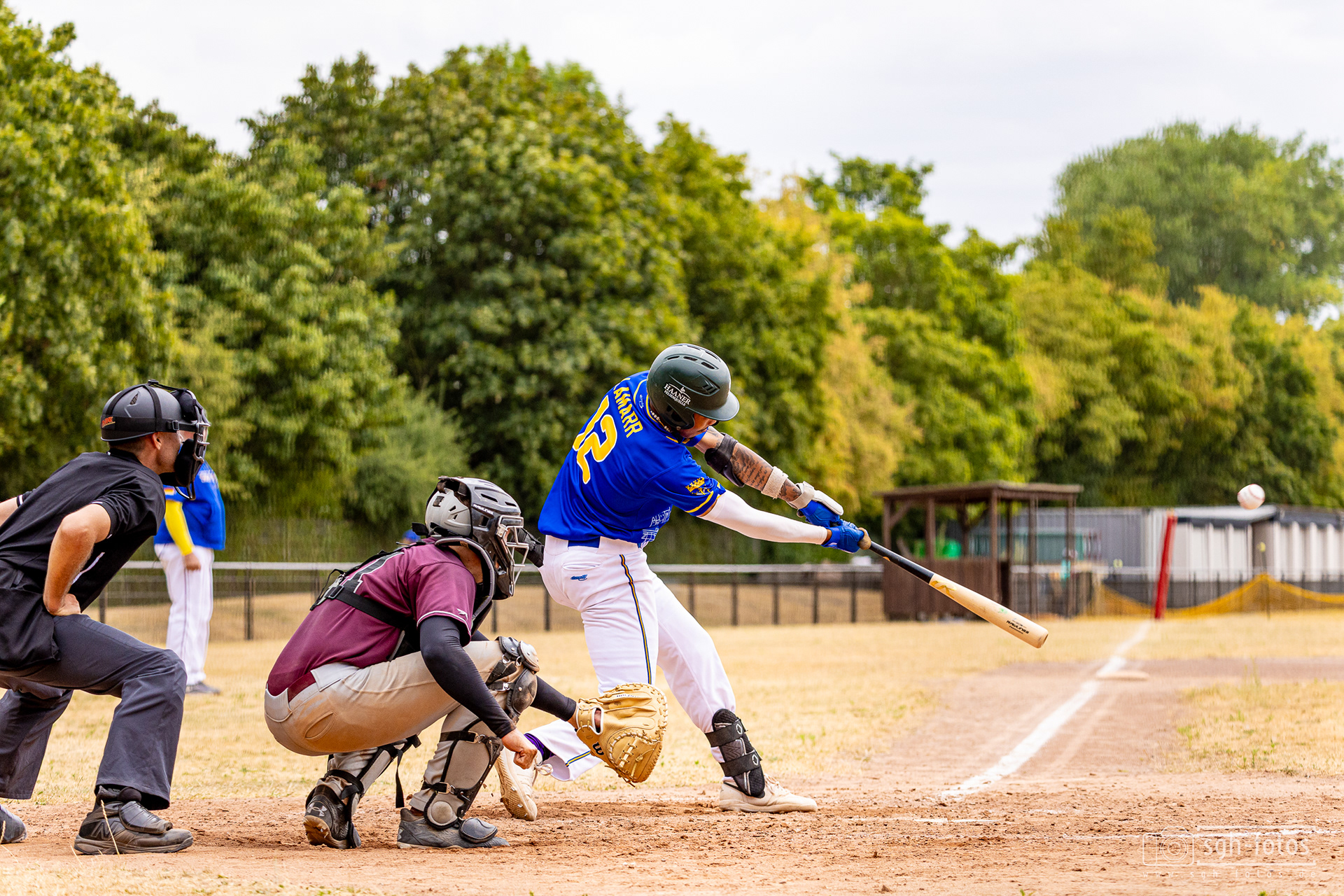 Baseball Solingen Alligators